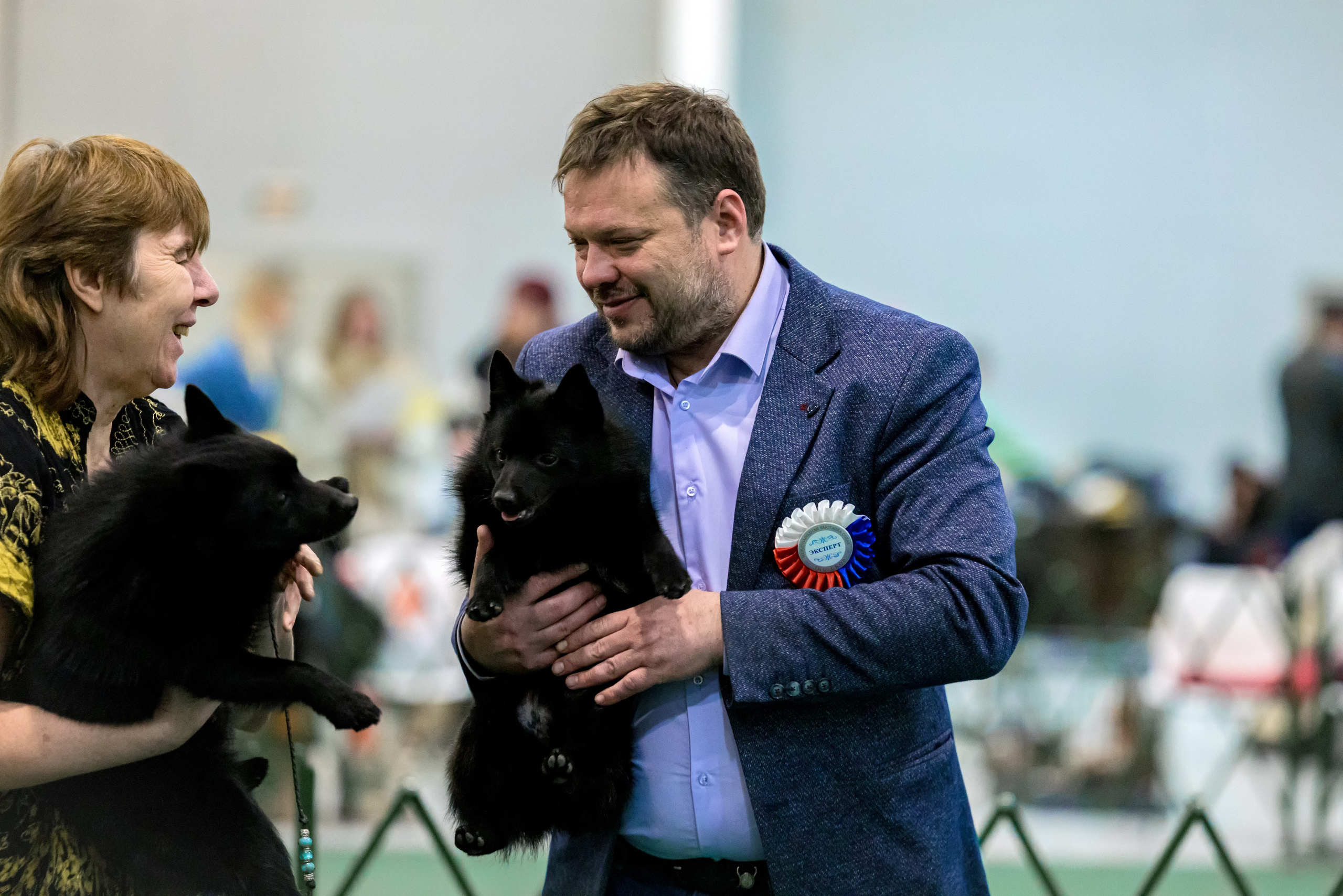 Крокус 3,9 и 10.12.2023. Фотограф-анималист Юлия Германика