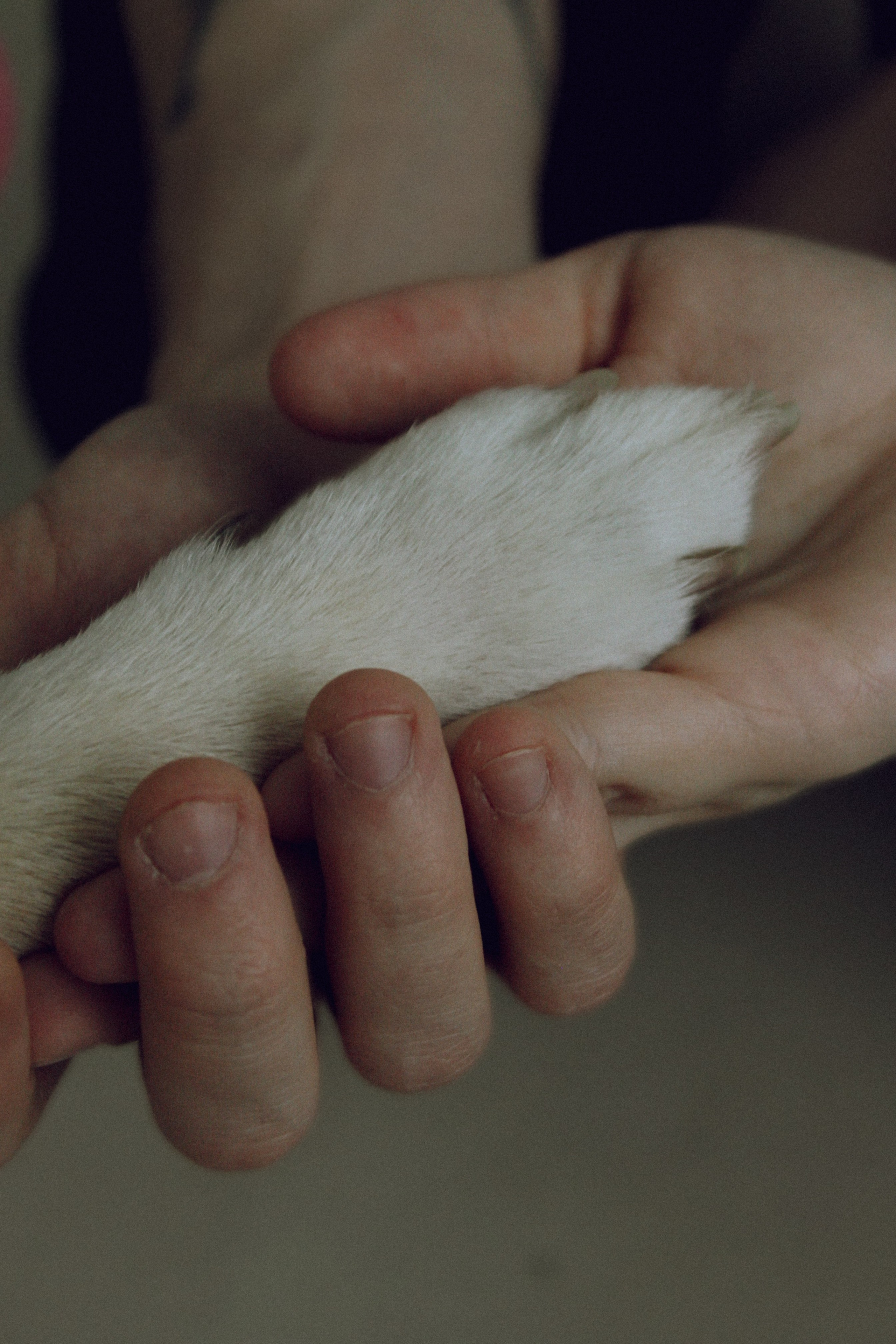 Екатерина и Михаил. Фотограф Екатеринбург/Каменск-Уральский