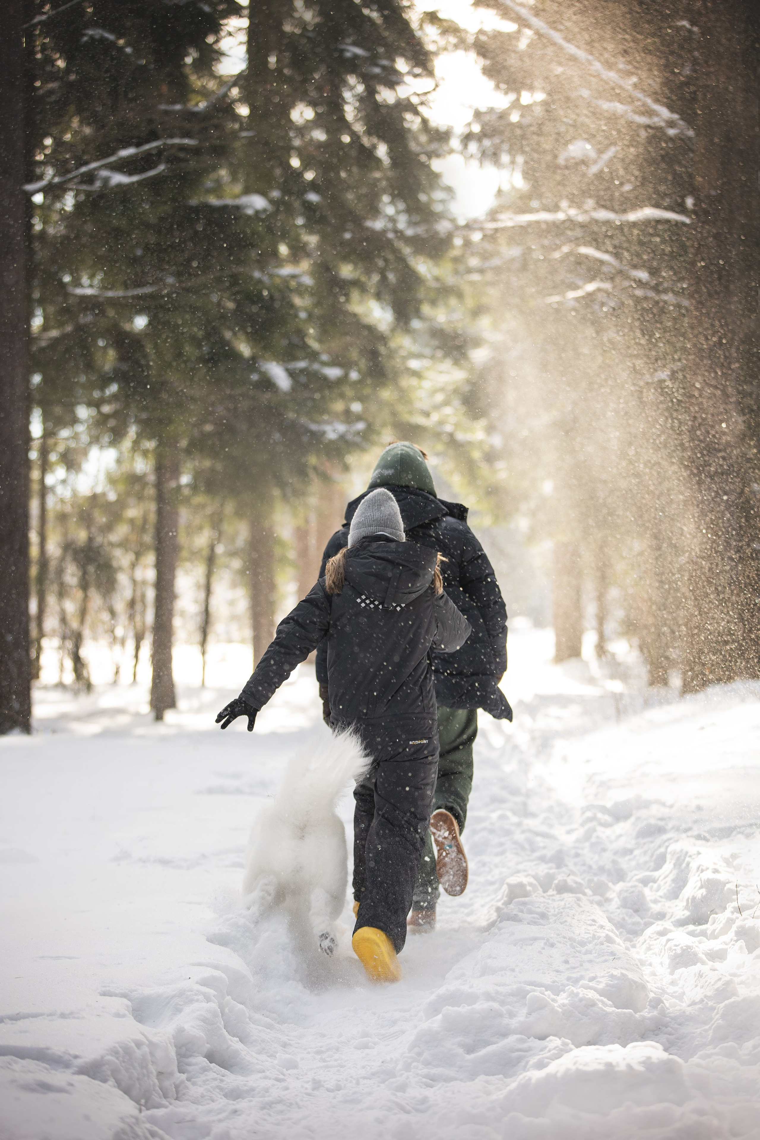 Дмитрий, Наталья и Панти. Фотограф анималист в Москве Майорова Евгения