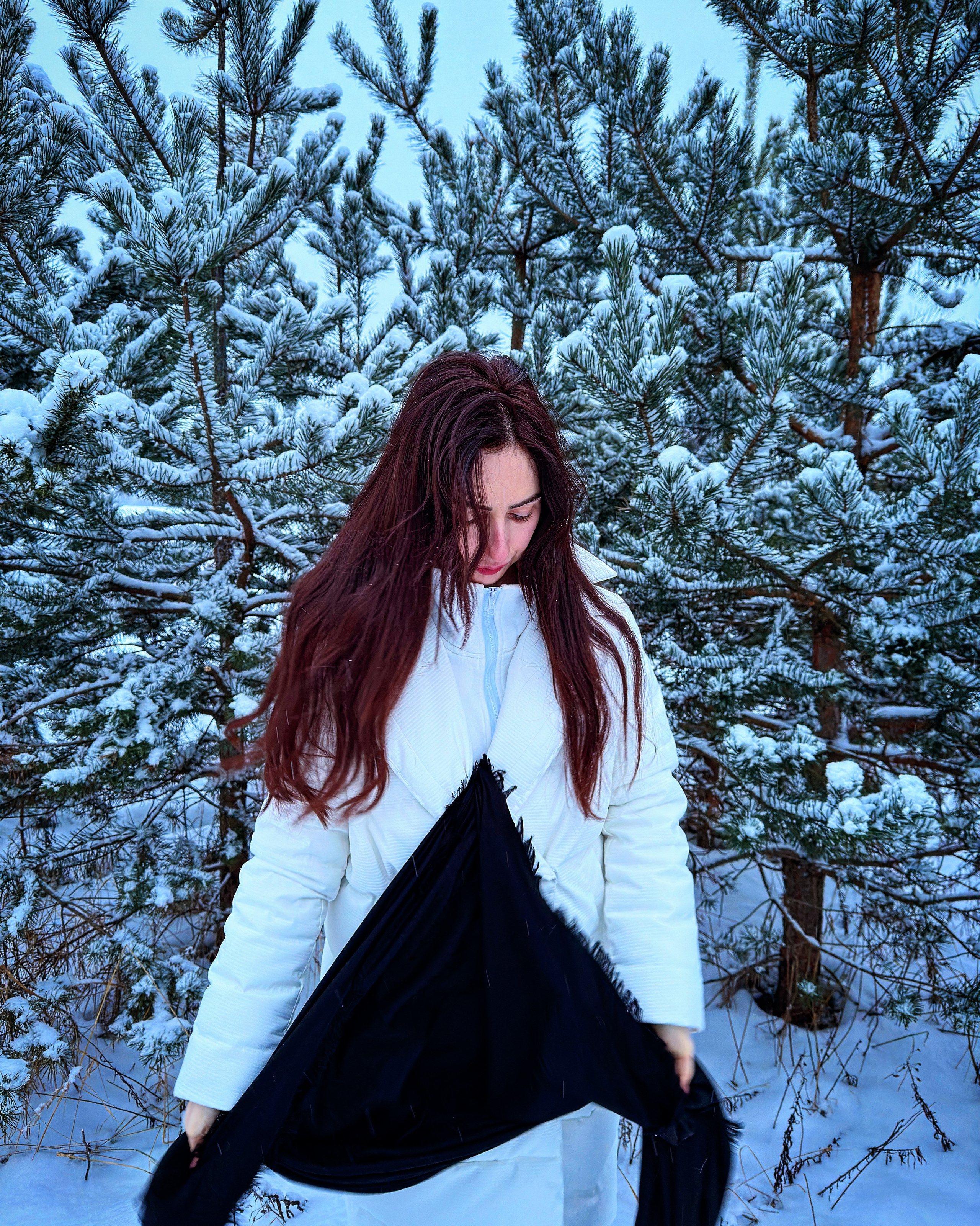 Главная. Yuri Panfyorov