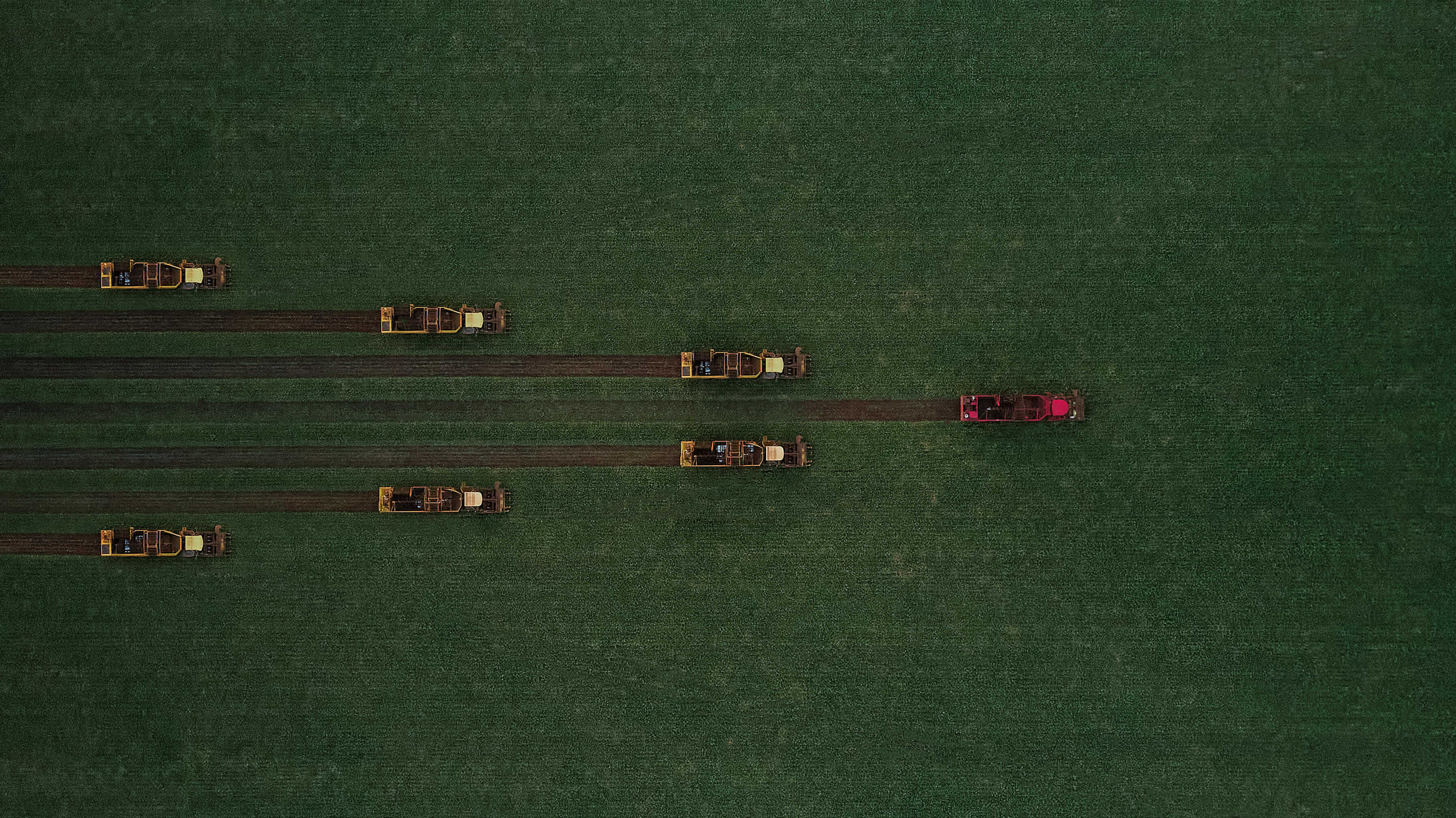 Фотограф Белгород Иван Веневцев