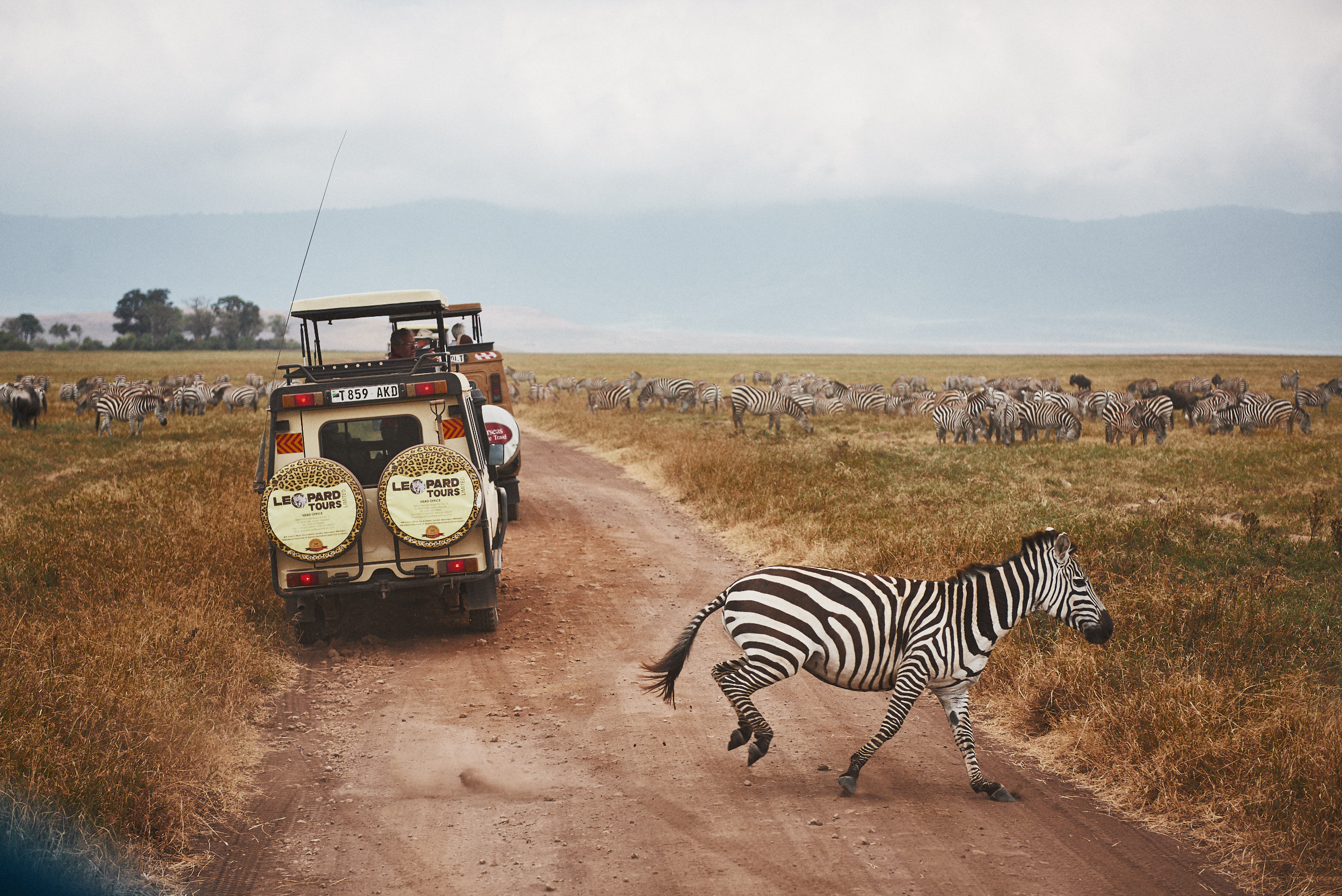 Путешествия съёмка. Фотограф Белгород Иван Веневцев