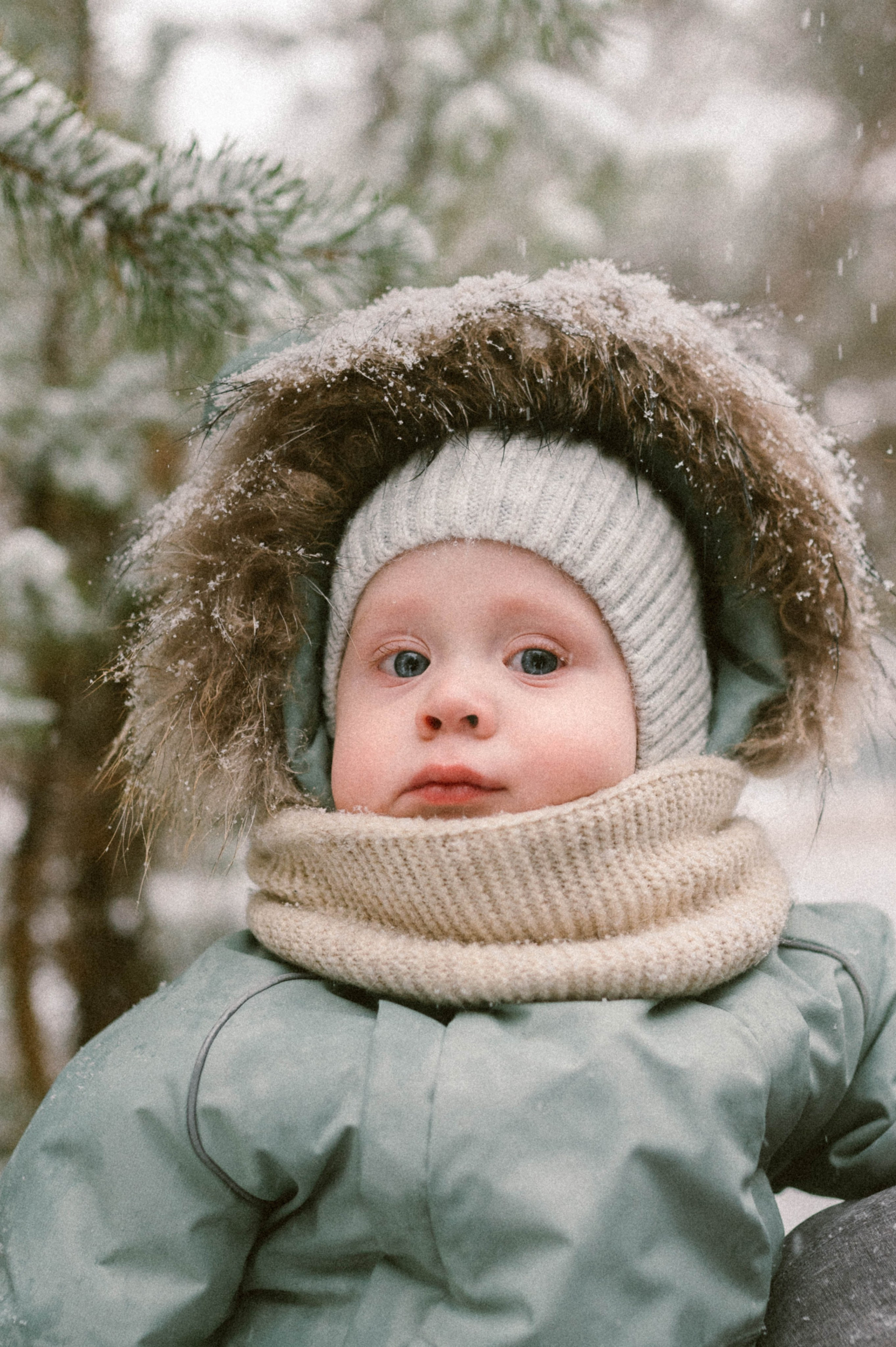 Юра, Алина и Стёпа. Свадебный и семейный фотограф в Чите Юлия Оранская