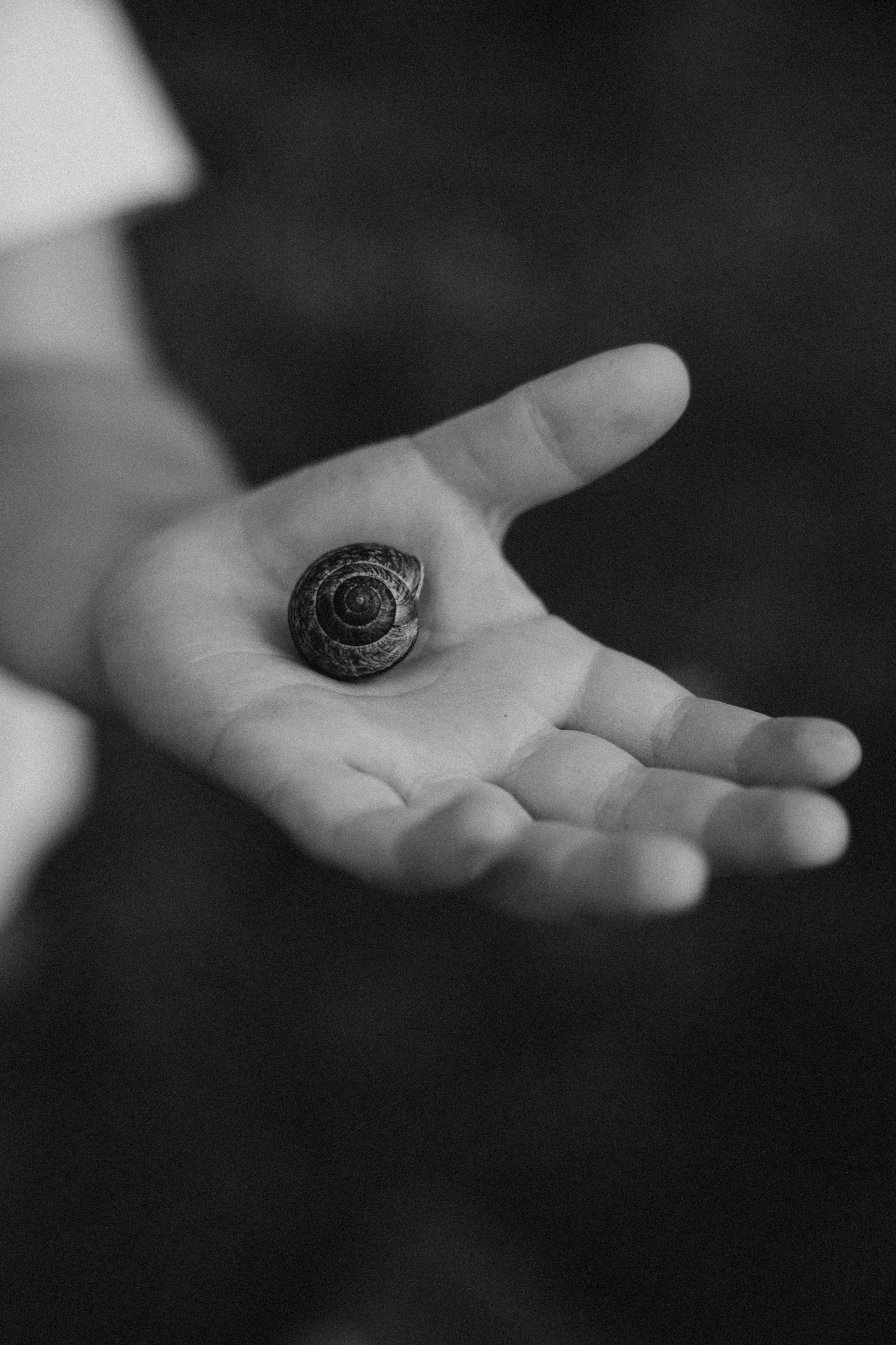 Гриша + Алина + Платон. Семейный и детский фотограф Юлия Шох