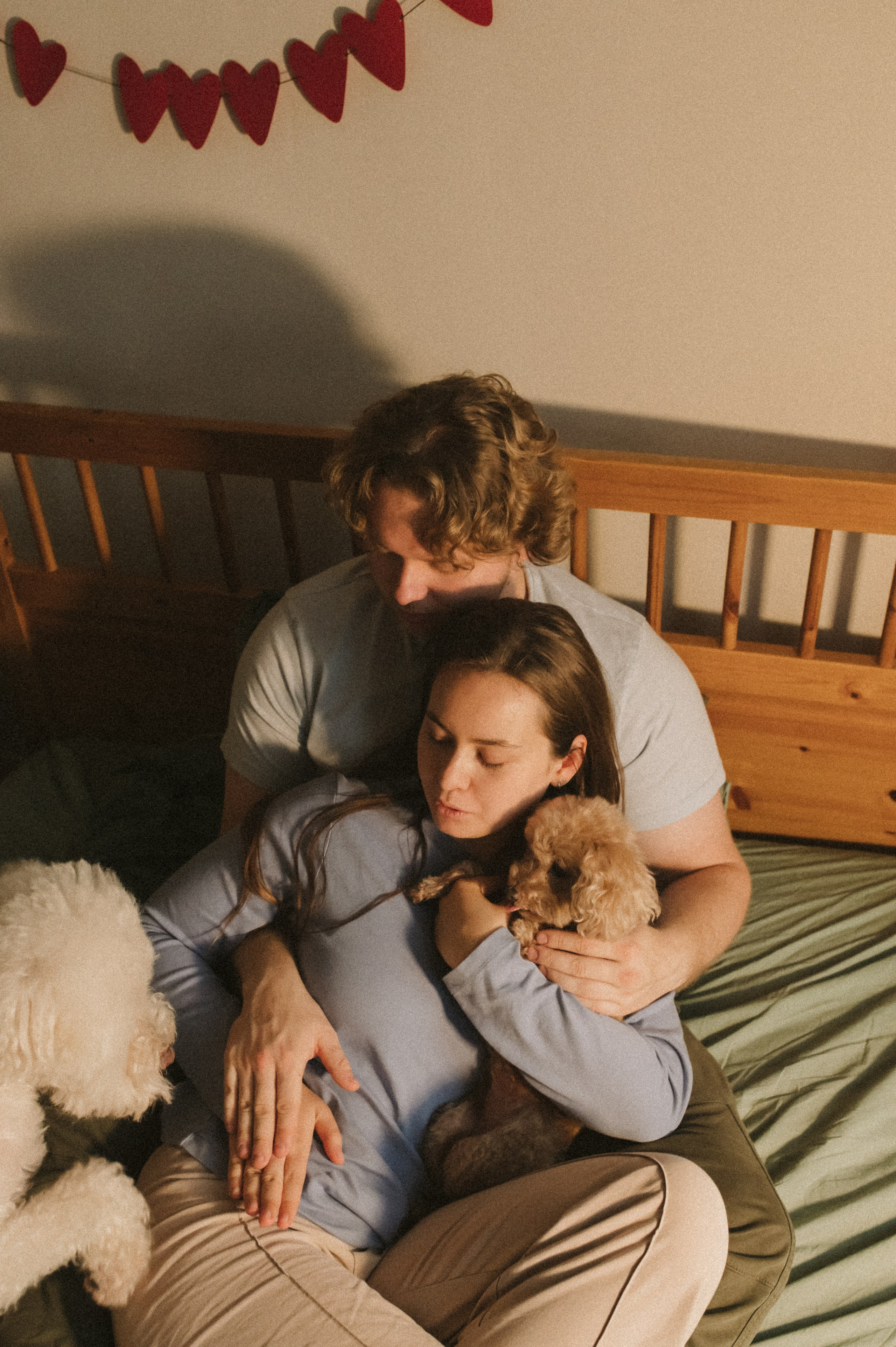 Ання и её кудрявая команда. Фотограф анималист в Москве Ольга Агушева