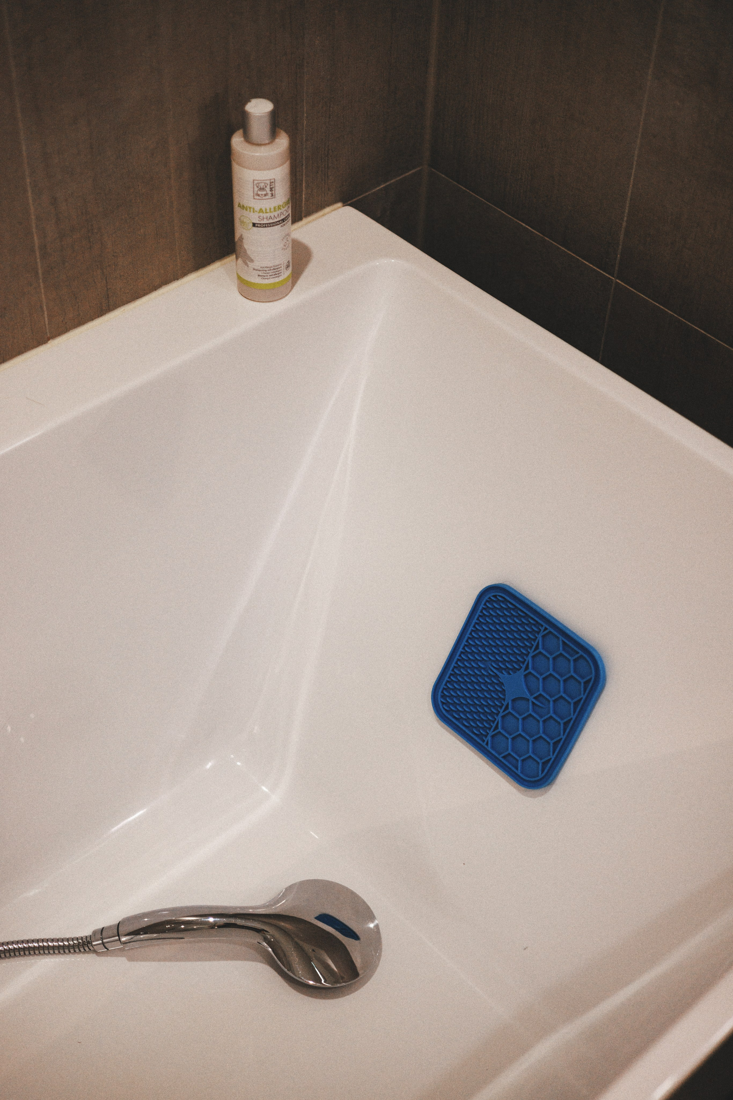 M-Pets. Фотограф анималист Осипчикова Мария