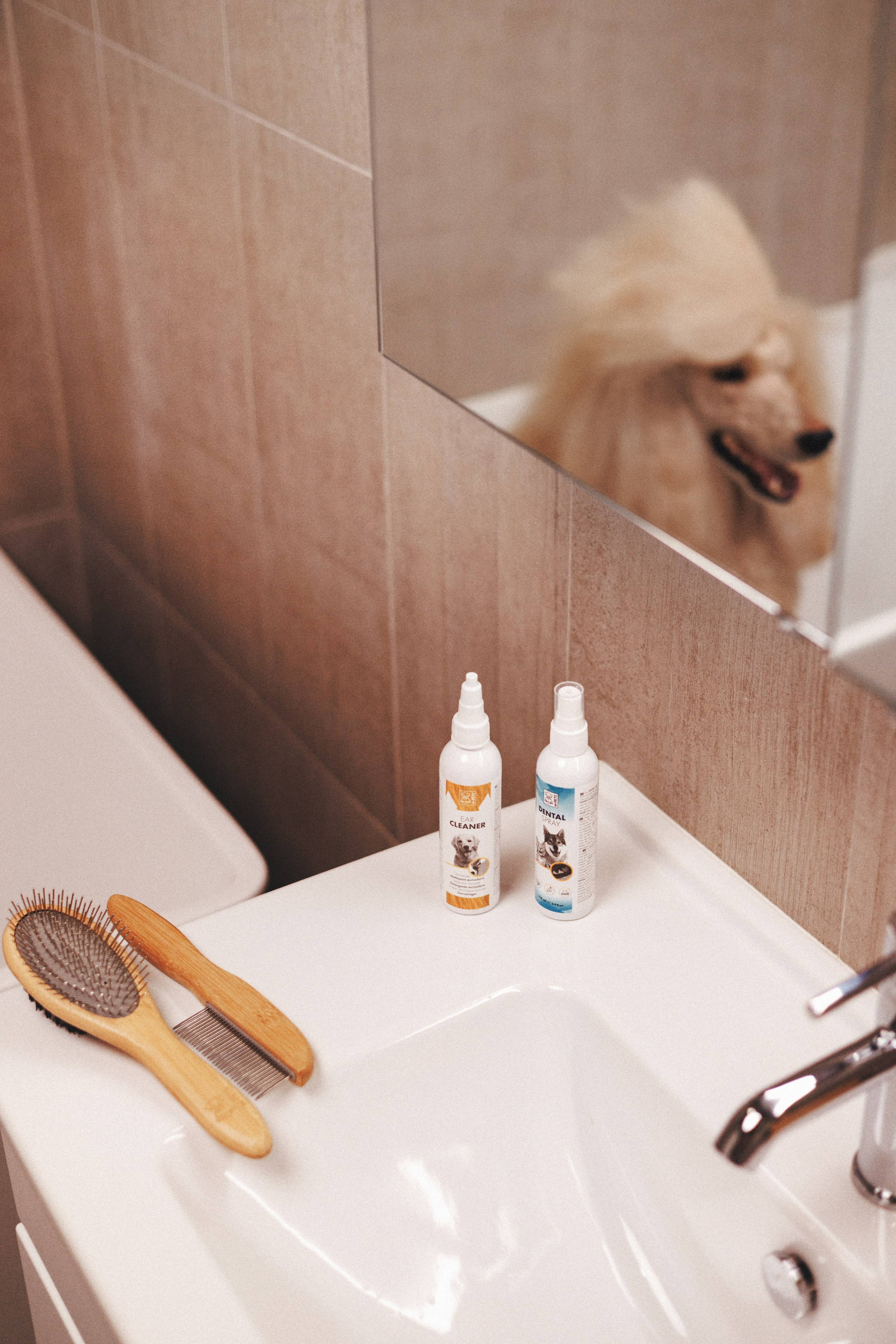 M-Pets. Фотограф анималист Осипчикова Мария