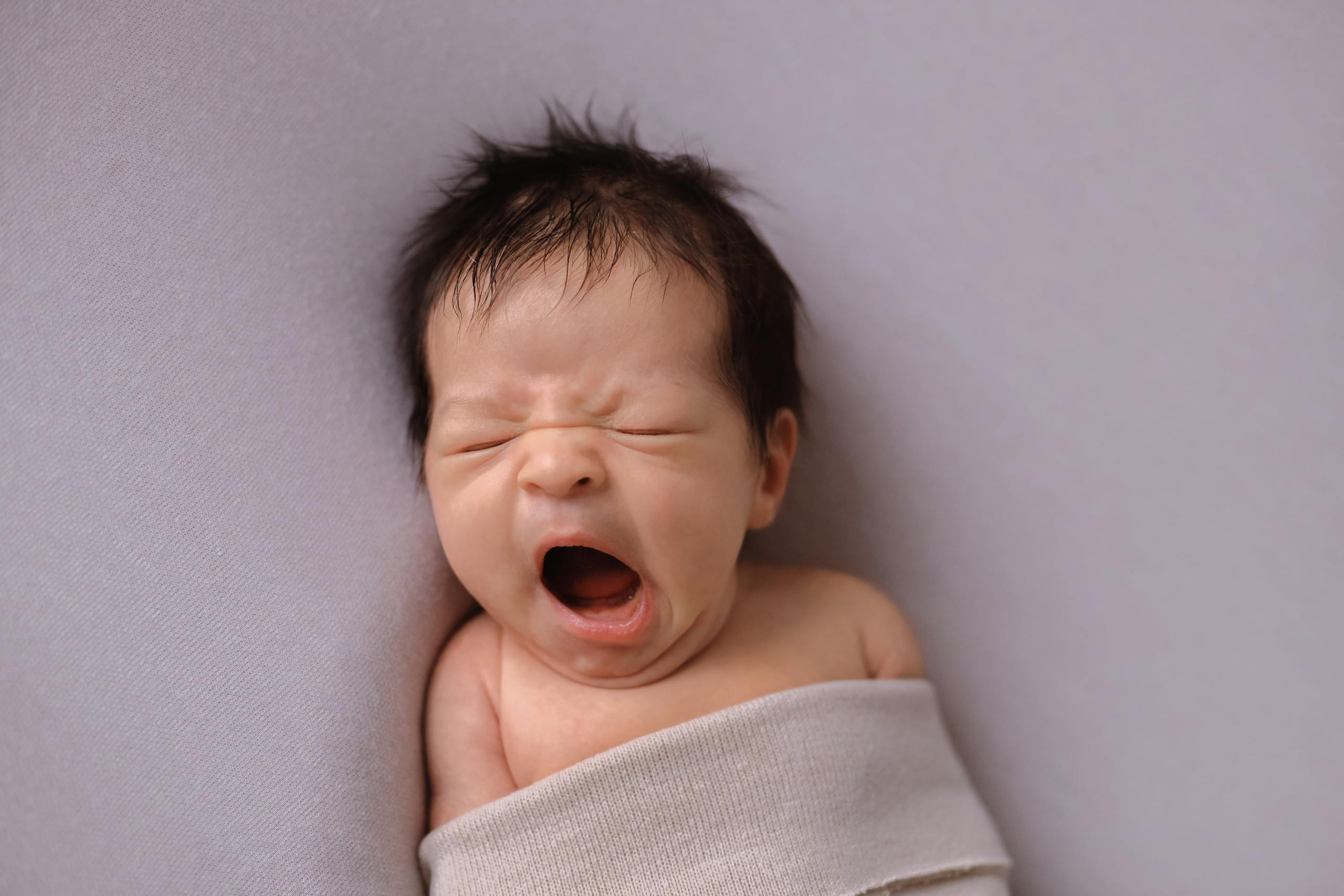 Аня 11 дней. Семейный фотограф и фотограф новорожденных в Санкт-Петербурге Алина Фе