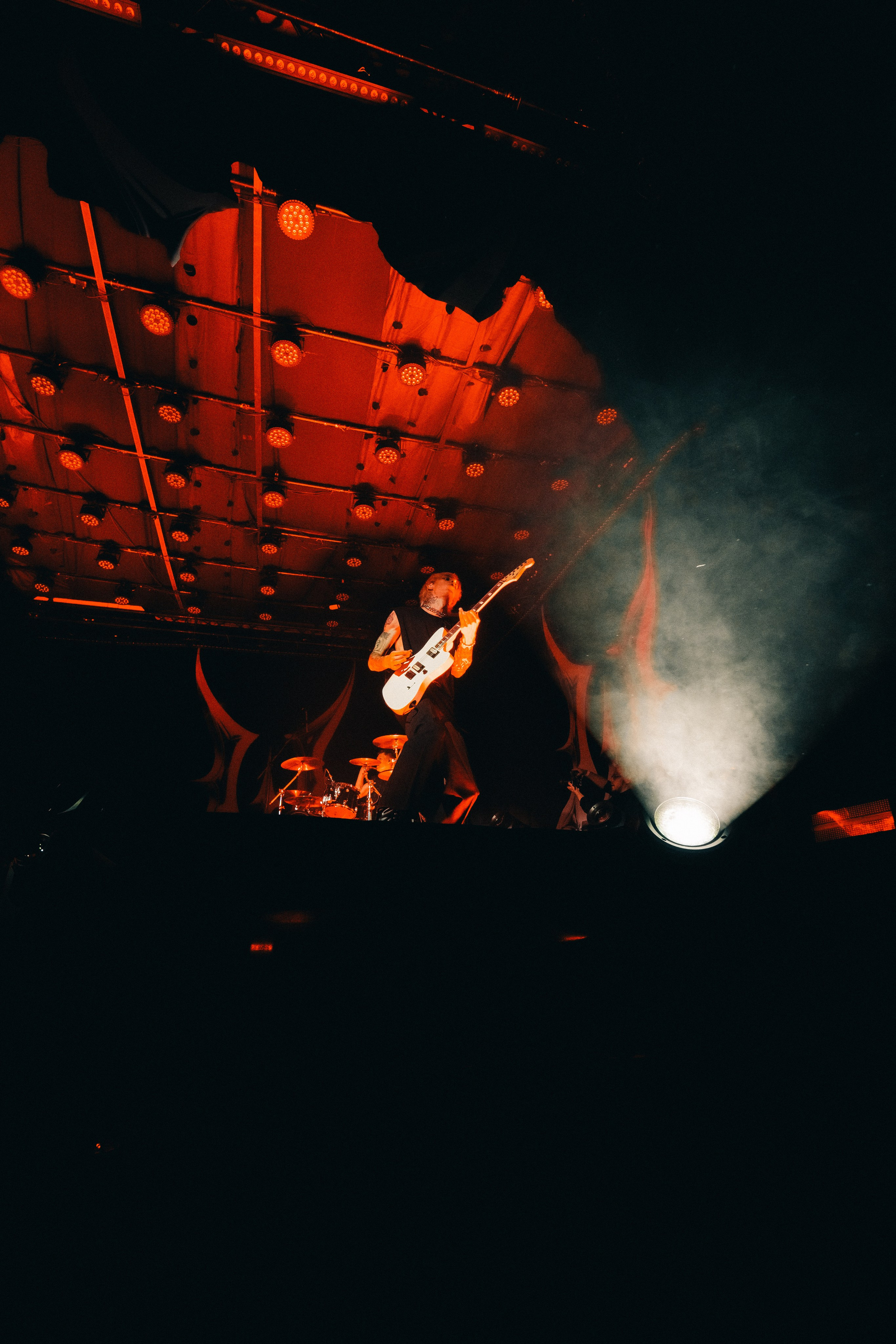 WILDWAYS. PASHAHARCE PHOTOGRAPHER & VIDEOGRAPHER