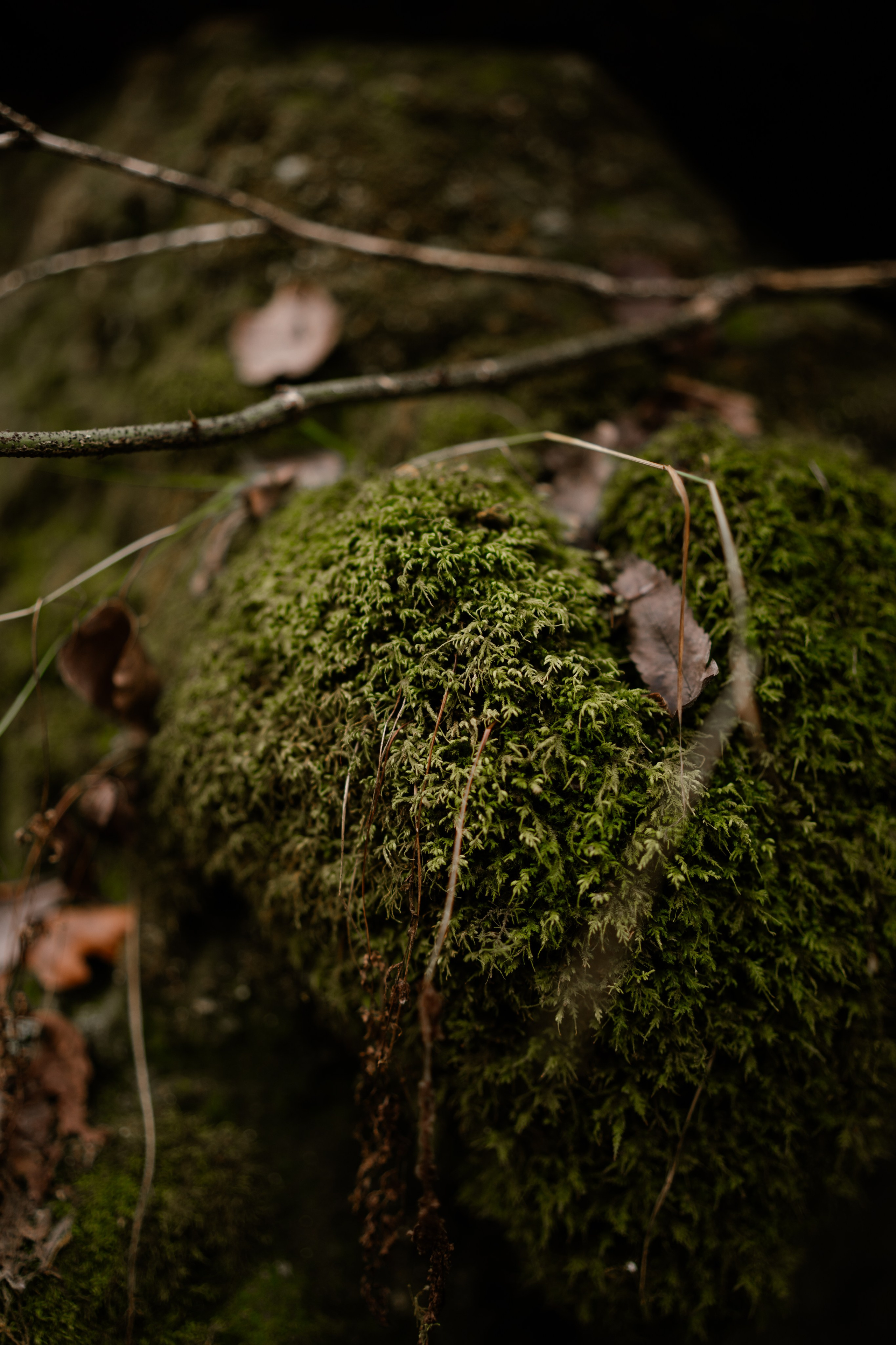 Кольцовские пещеры. Vlad Trykov