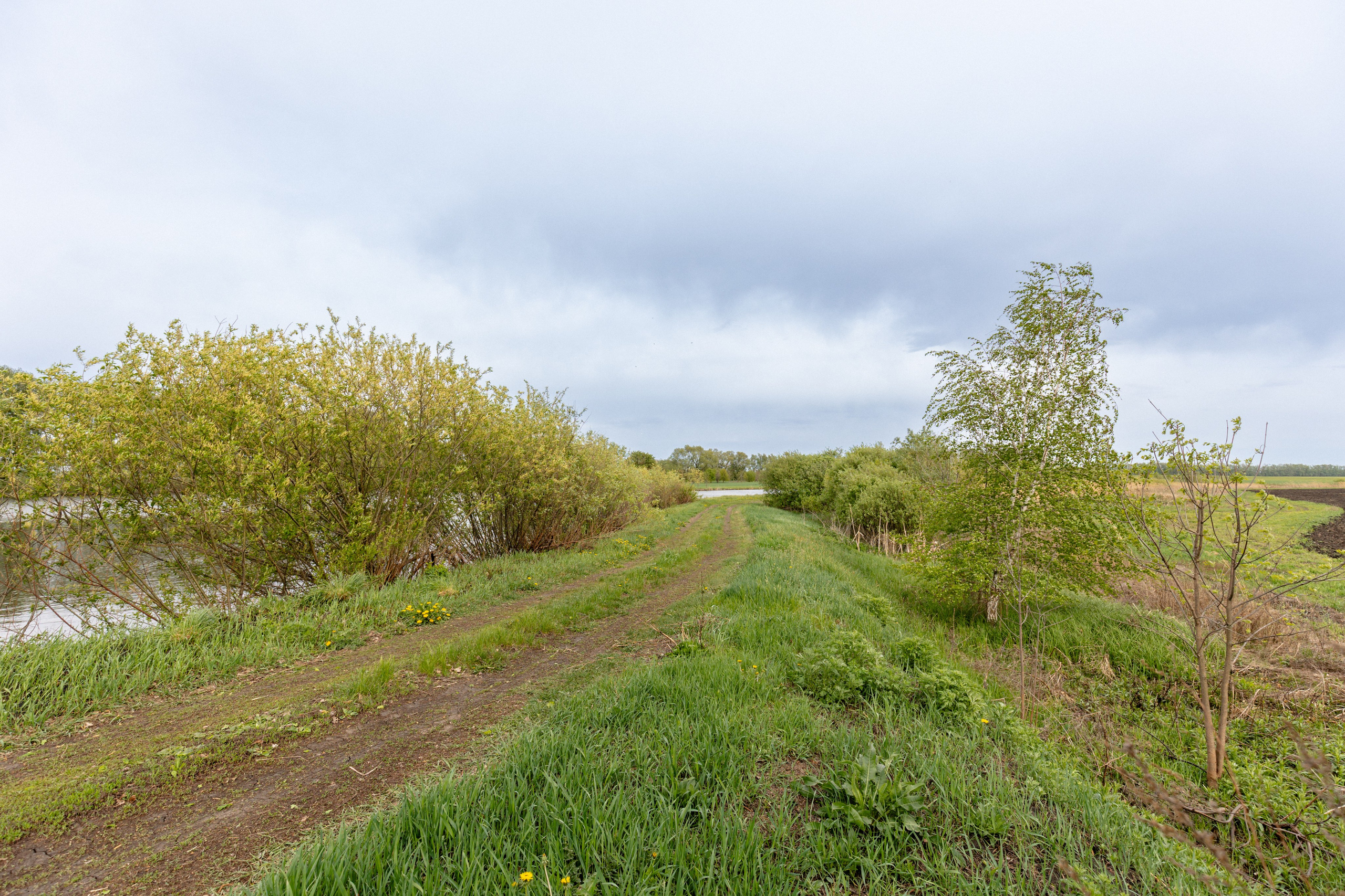 Приусадебный участок. Владислав Волков | Фотография и видеосъемка в Воронеже