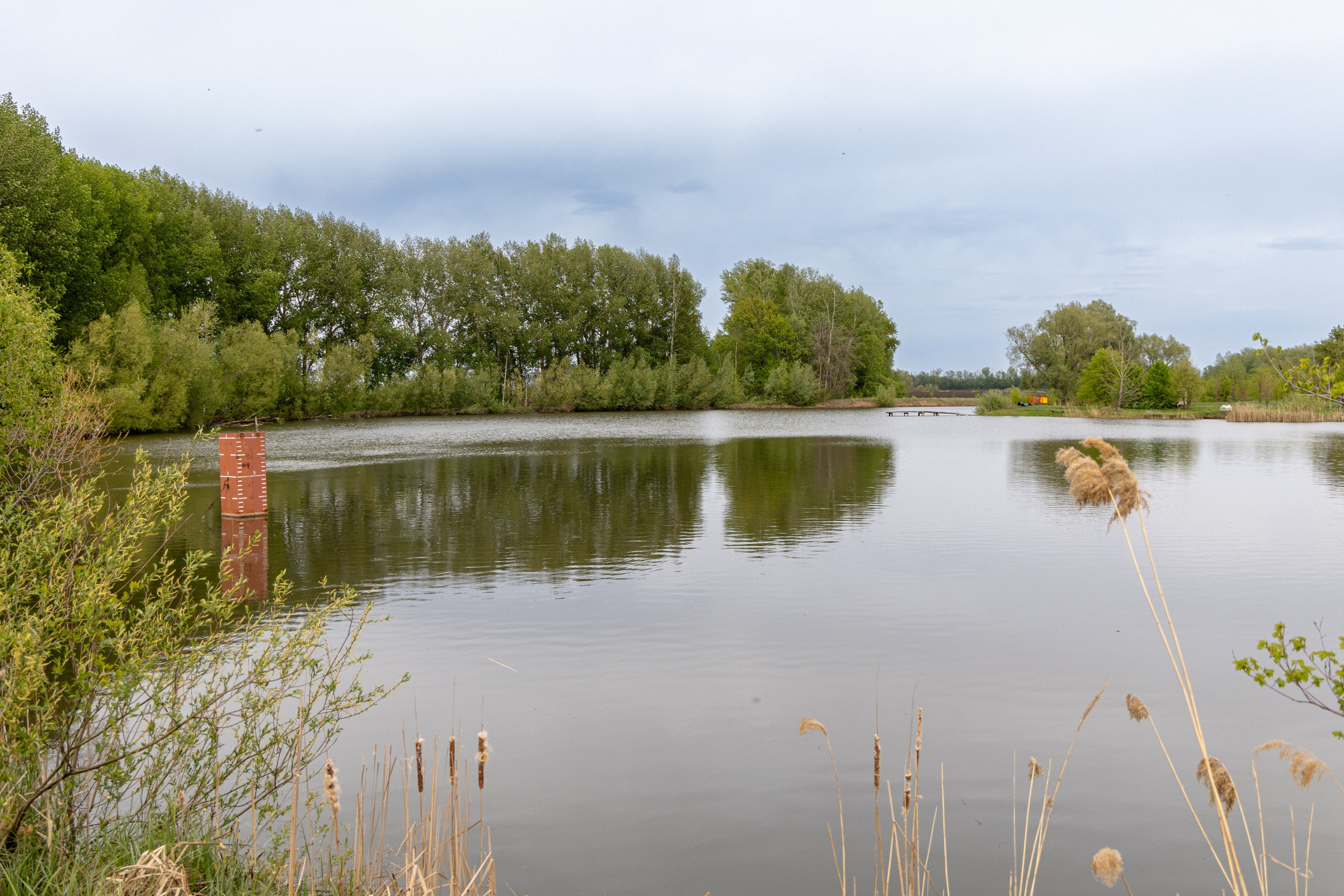 Приусадебный участок. Владислав Волков | Фотография и видеосъемка в Воронеже