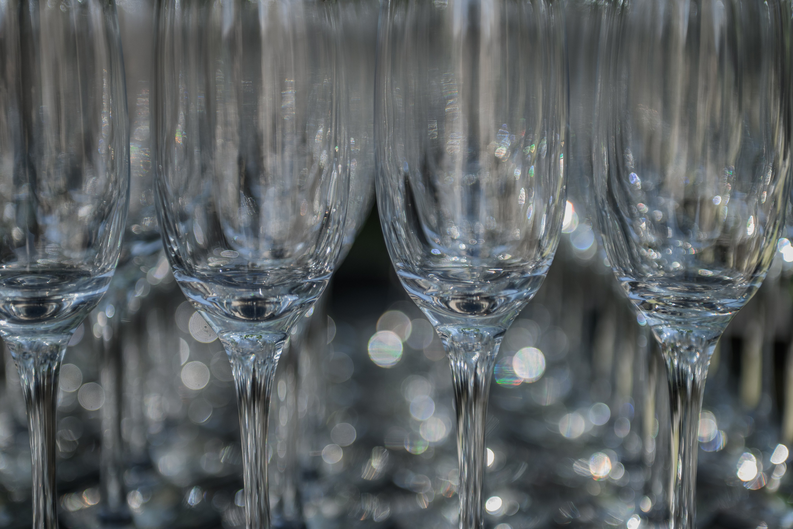 Олег и Алёна. Фотограф Филякин Константин