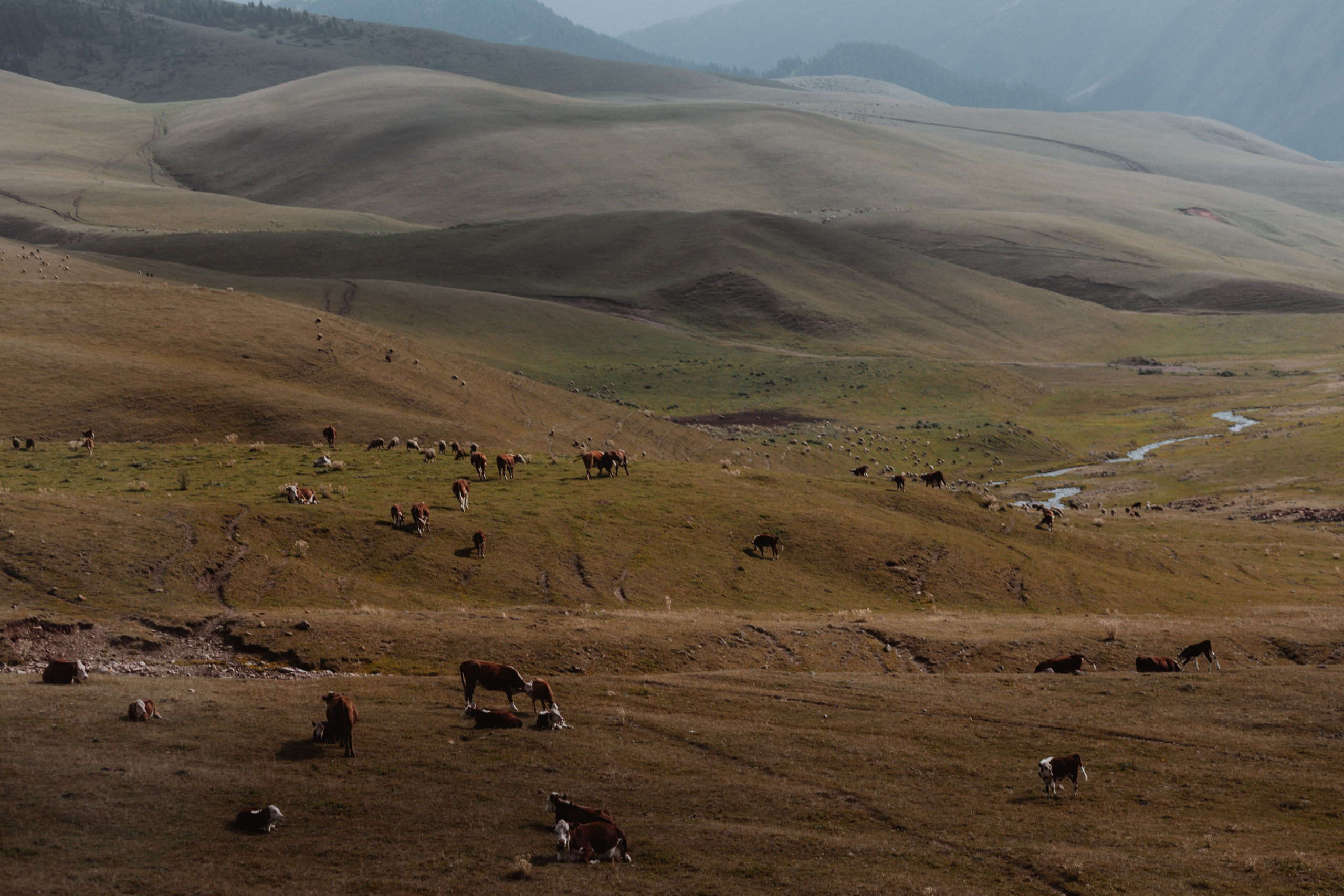 Плато Ассы. Экскурсии и туры по Алматы