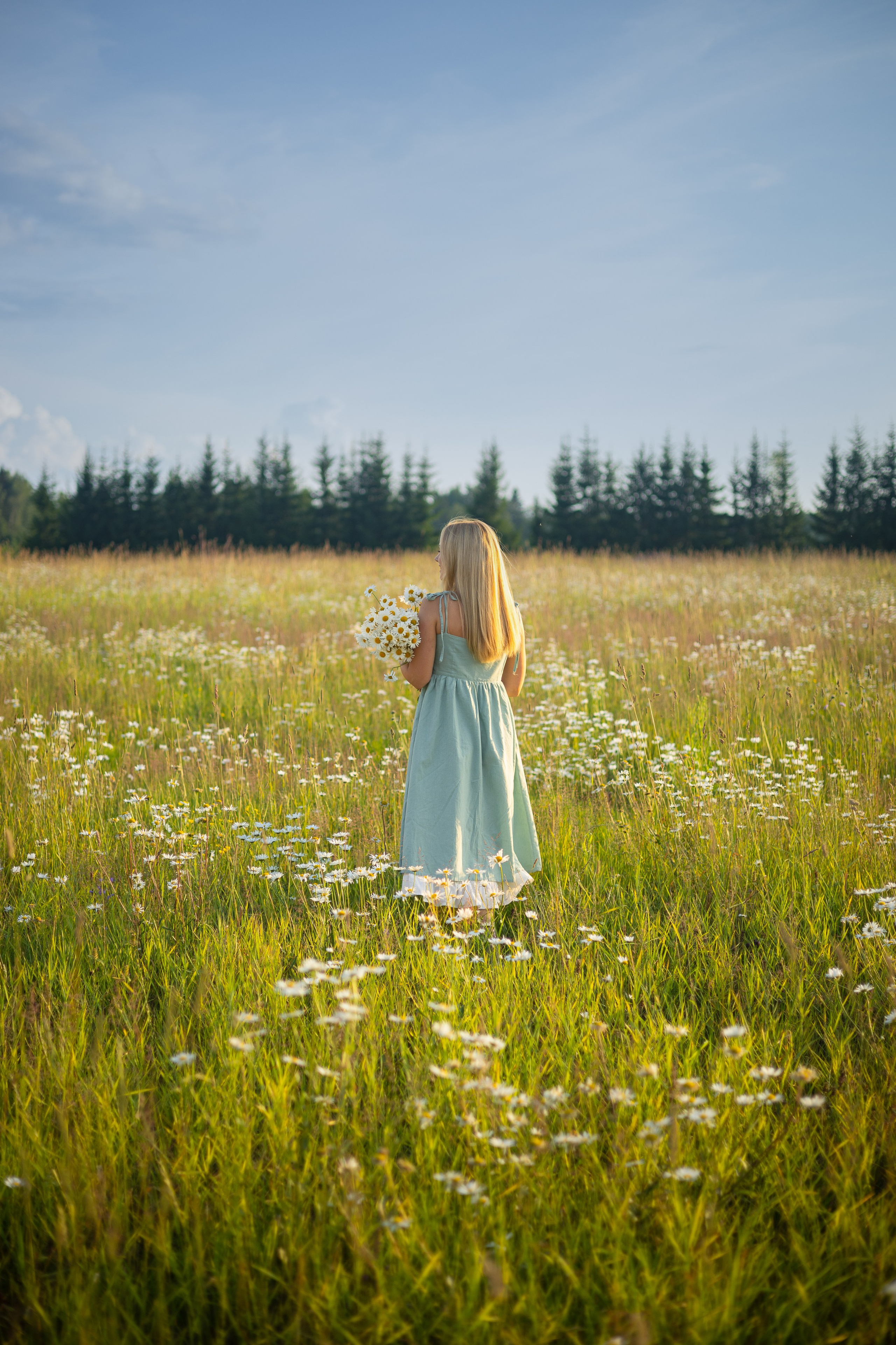 Индивидуальная фотосессия. Ромашки. Фотограф Самойлова Анна Архангельск, Северодвинск