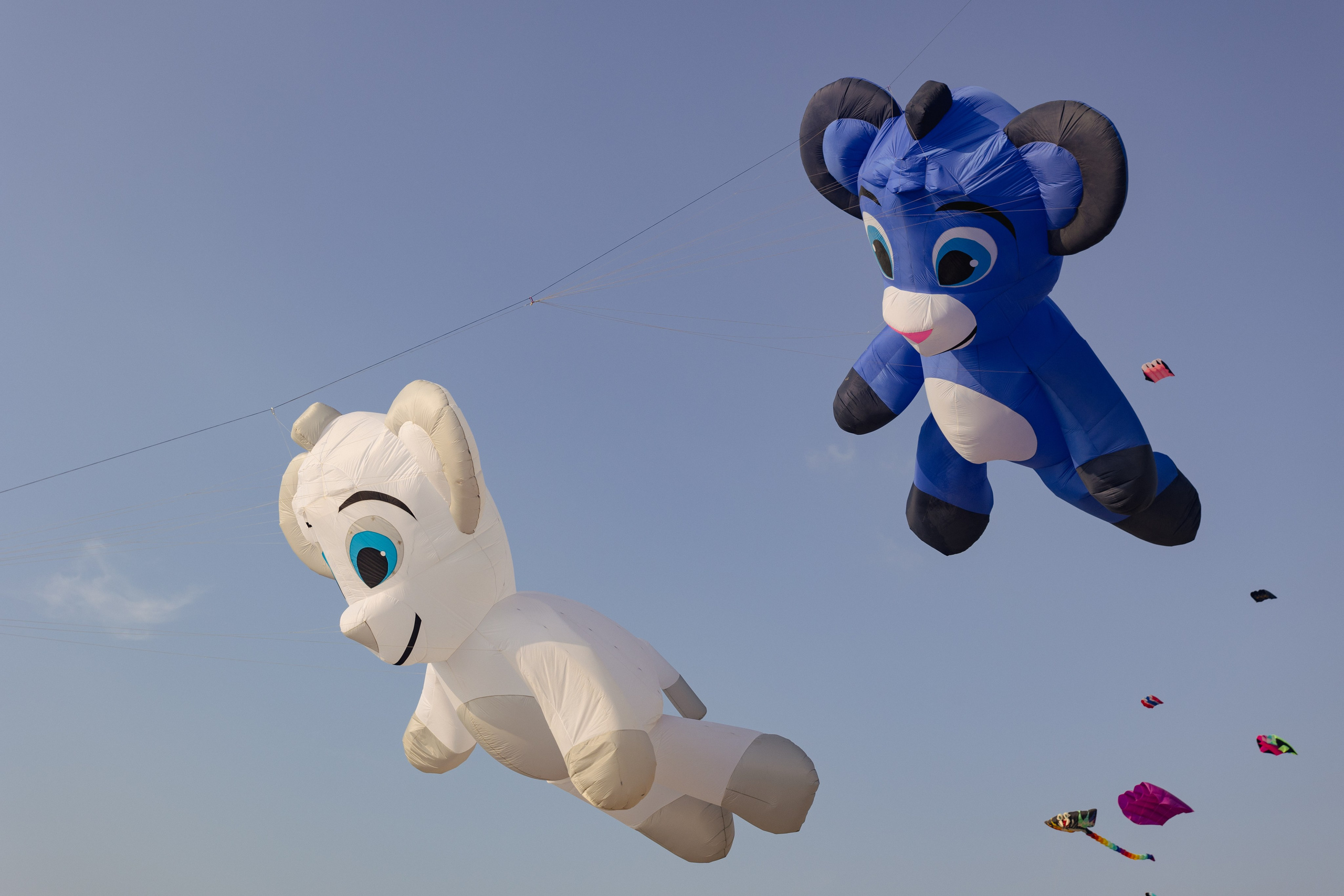 PATTAYA INTERNATIONAL KITE ON THE BEACH 2024. Photographer Sonkina Tatiana (Tanya Ash)
