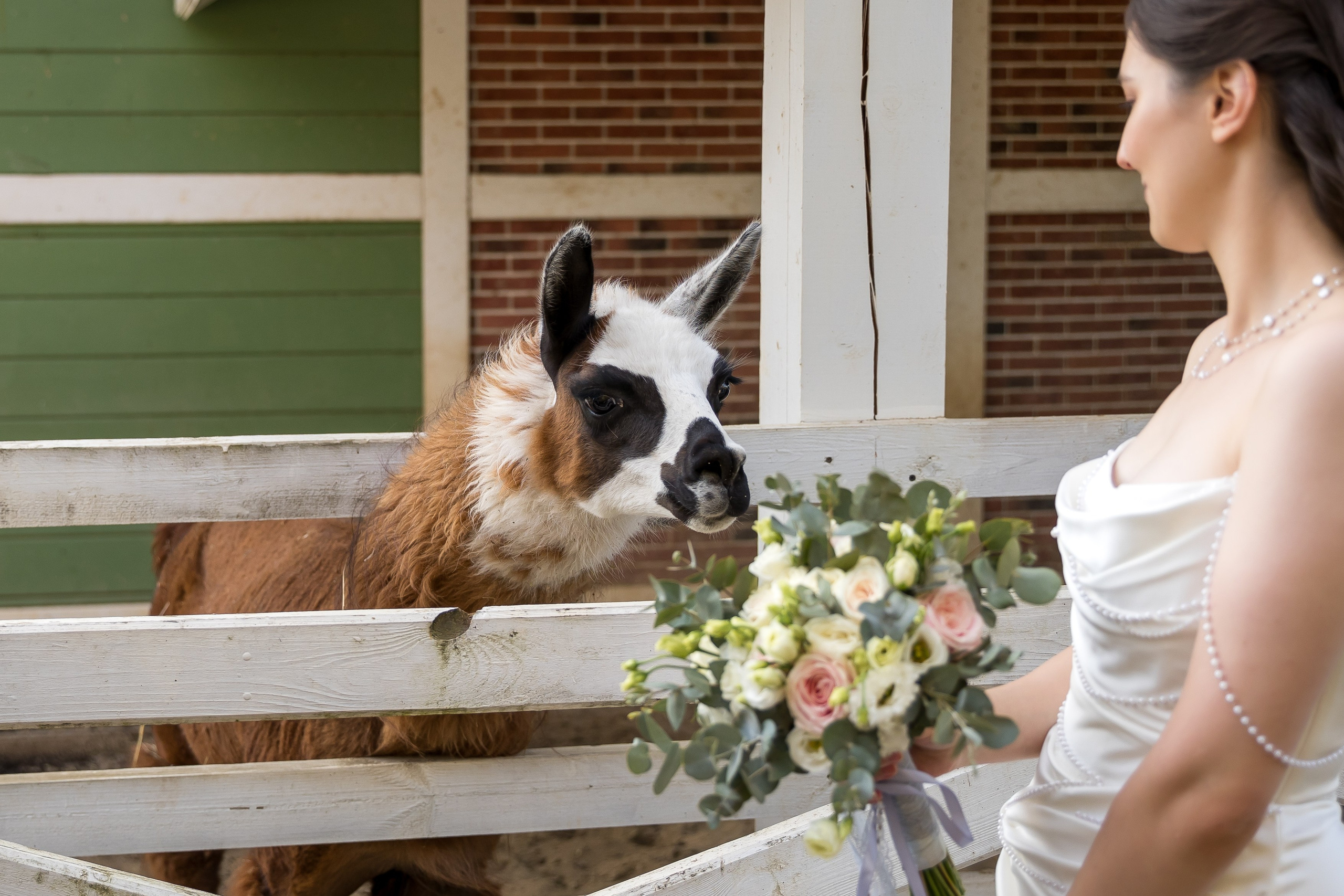 Михаил и Екатерина. Фотограф FOTOBANKA