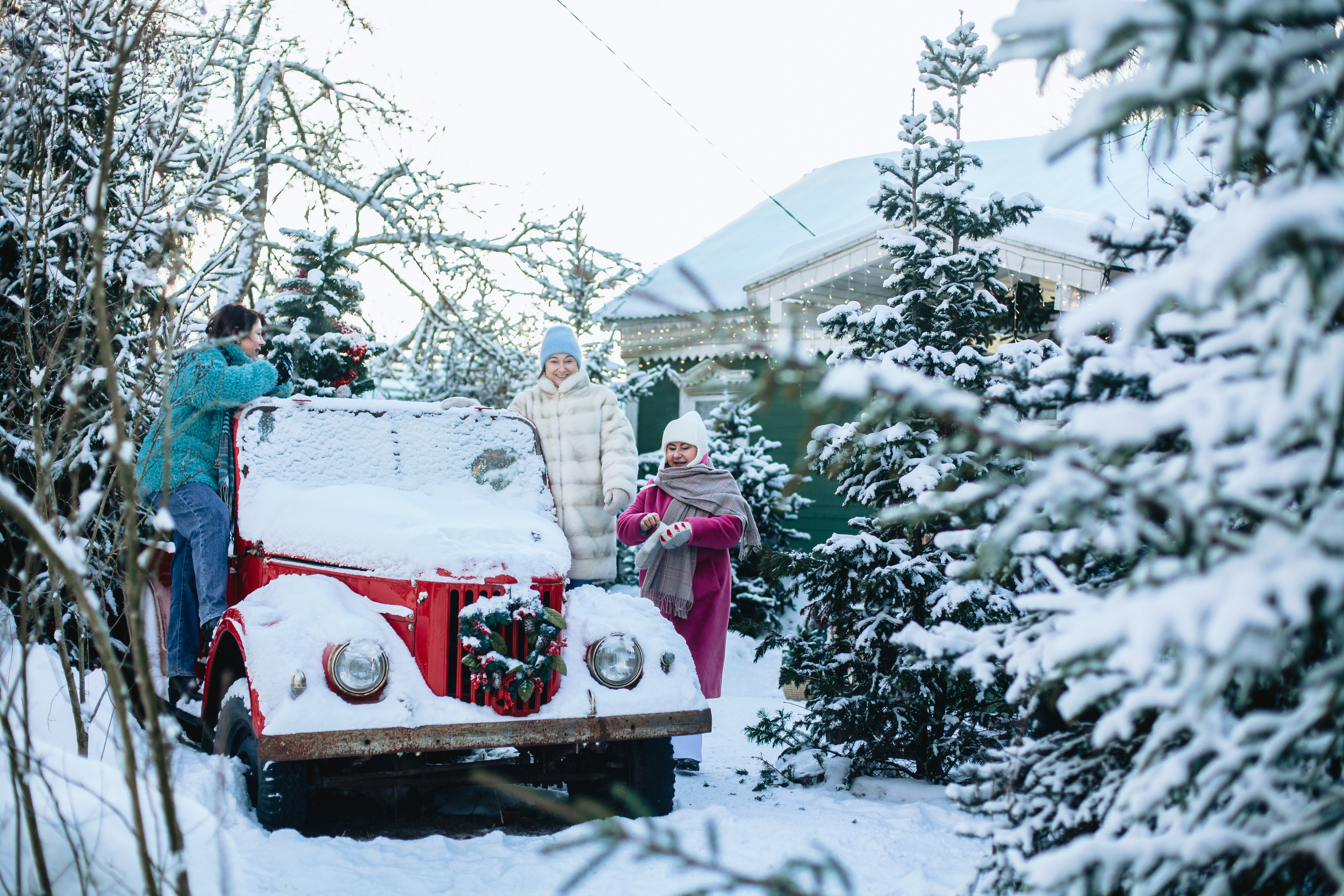 Зингер дача. Фотограф-анималист Татьяна Степанова
