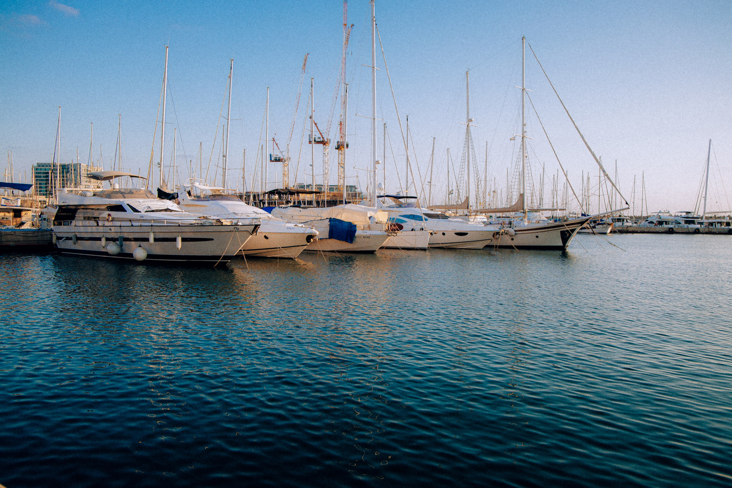 Herzliya. Israel. Anna Gidros — профессиональный фотограф