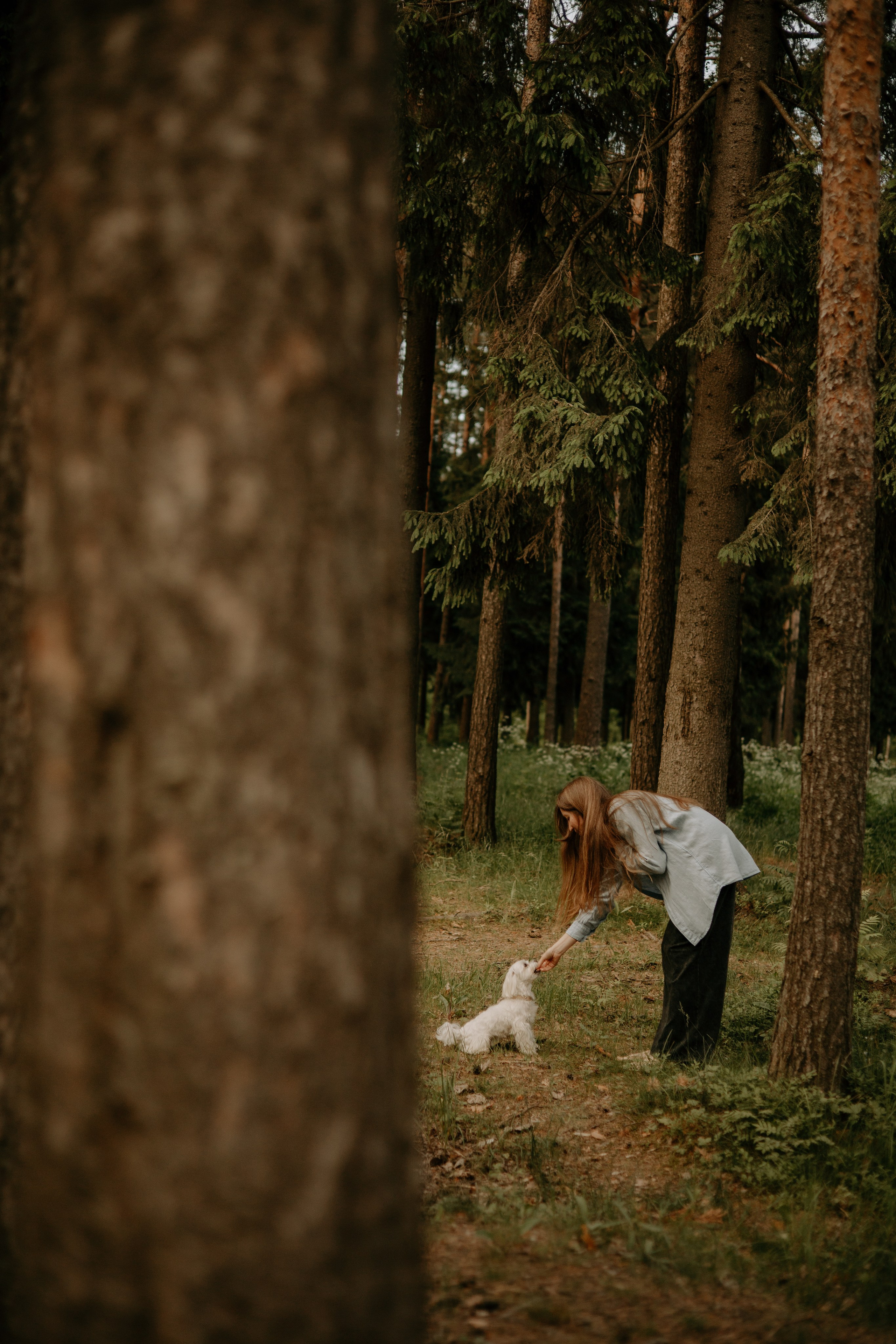 Оля и Джастин. Фотограф — анималист •love-story•|Санкт-Петербург
