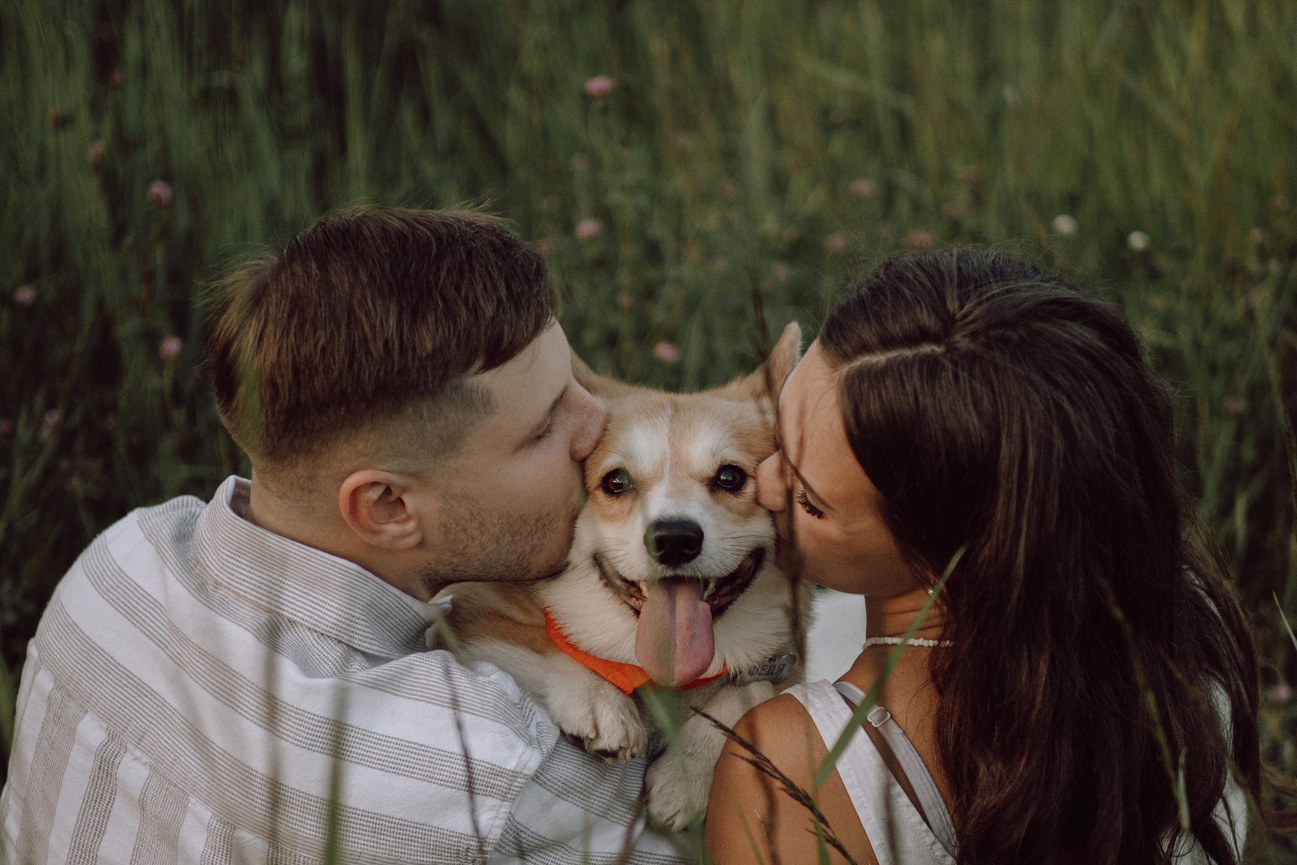 Паша, Настя и их Фёдор. Фотограф — анималист •love-story•|Санкт-Петербург