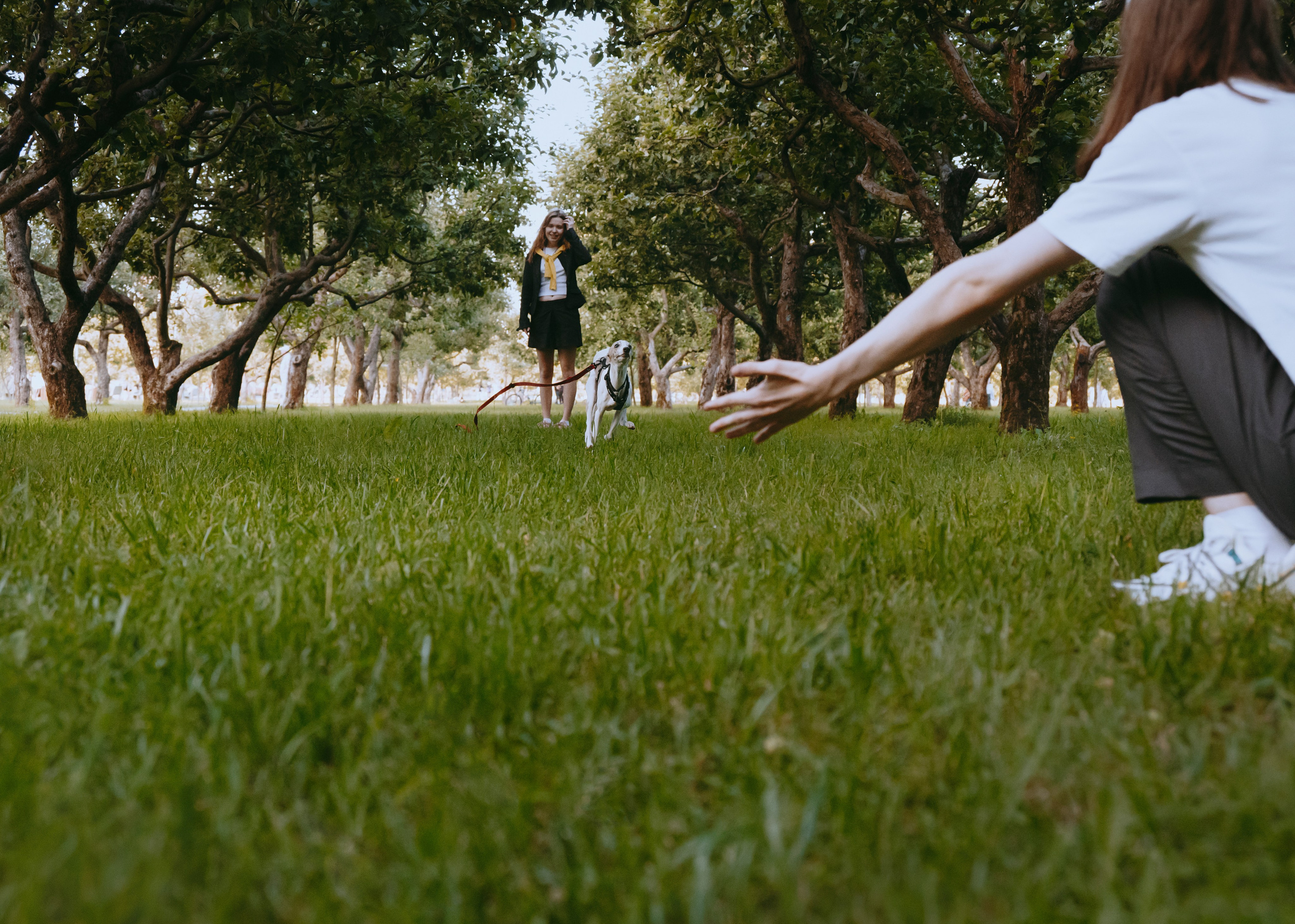 Ветка. Фотограф- анималист Александра Матвеева