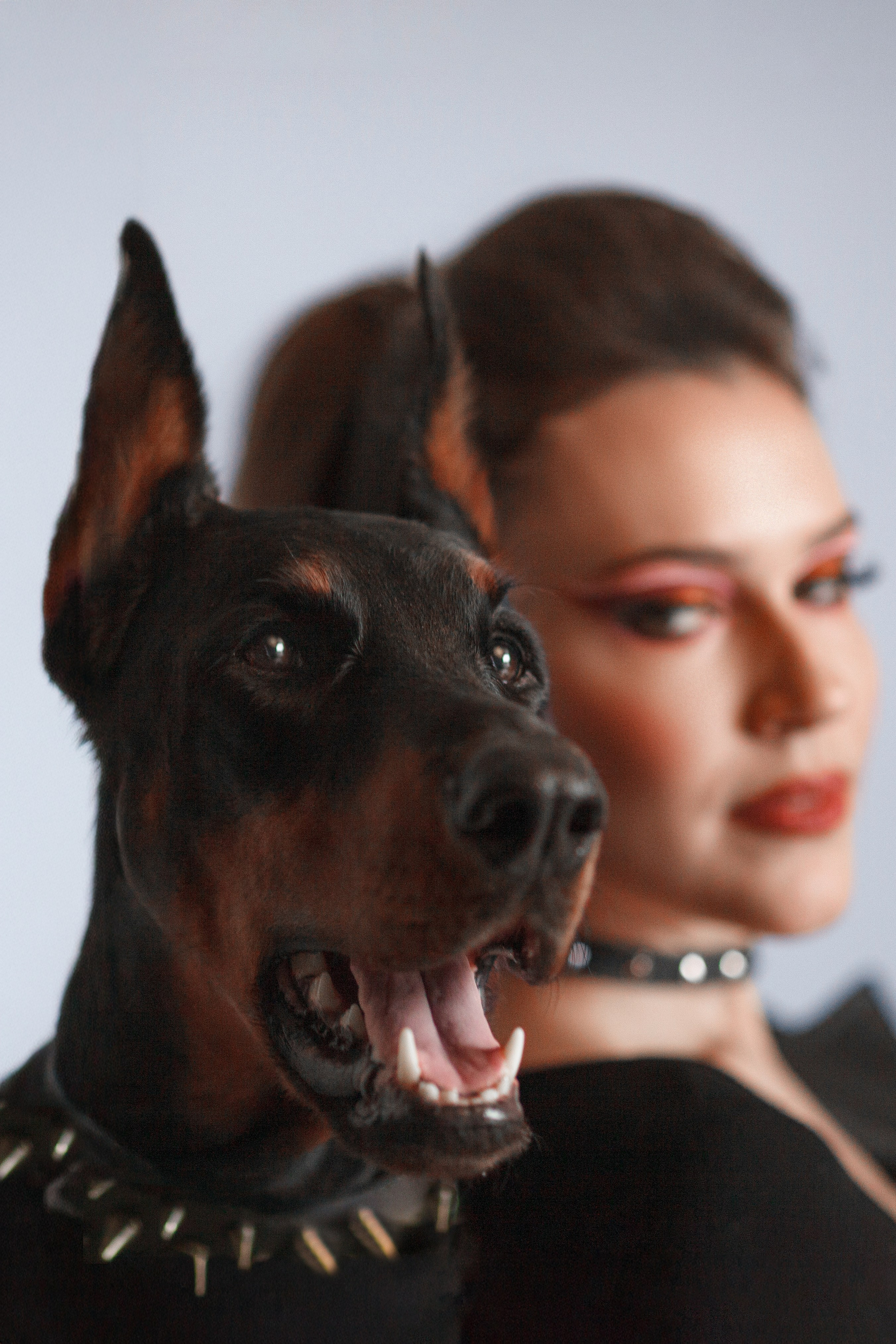 Фотосессия с доберманом в Ставрополе. Фотограф Ставрополь Пятигорск Елизавета Дарина