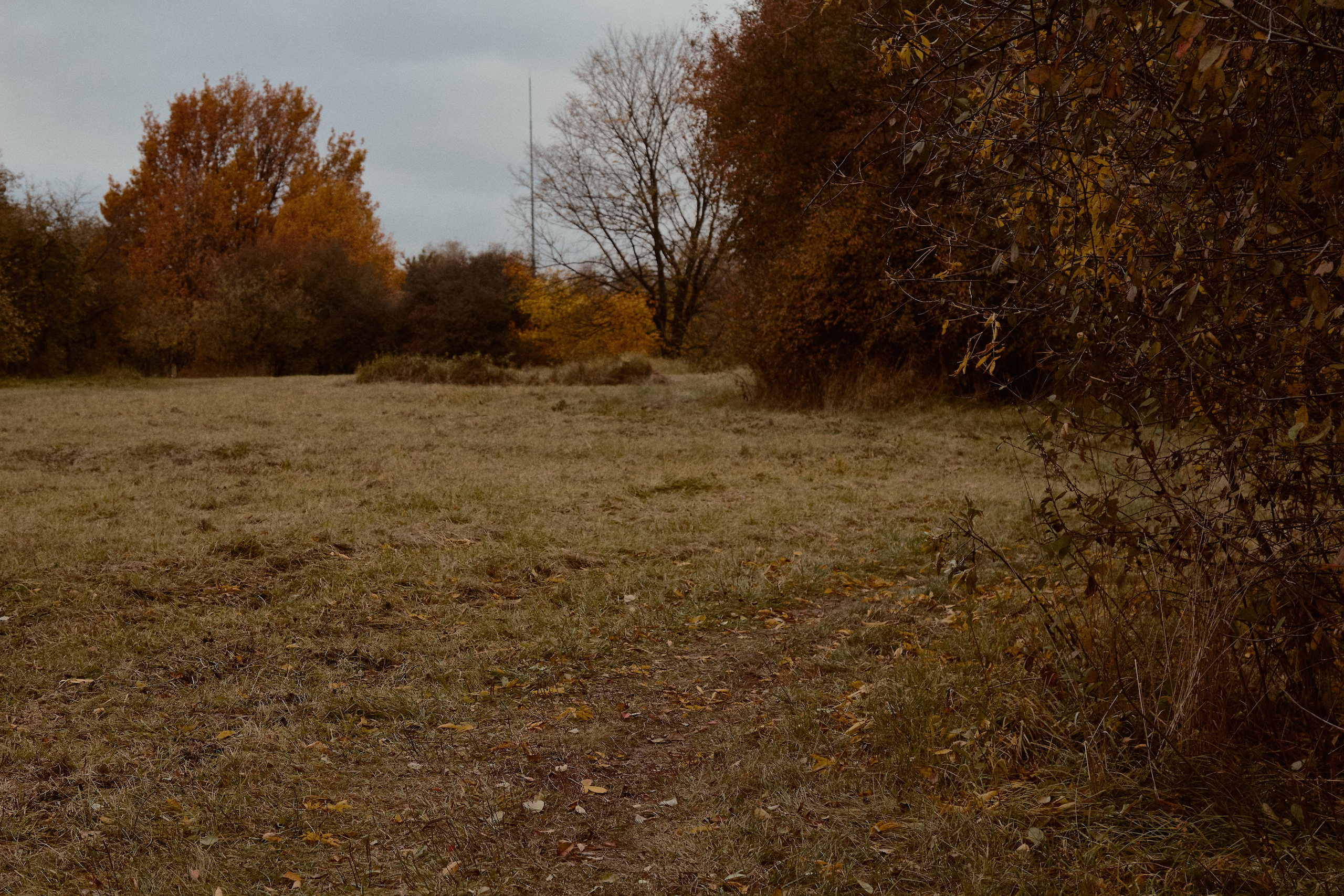 Юлия и Евгений. Фотограф лавстори Москва/МО Приятелева Ангелина