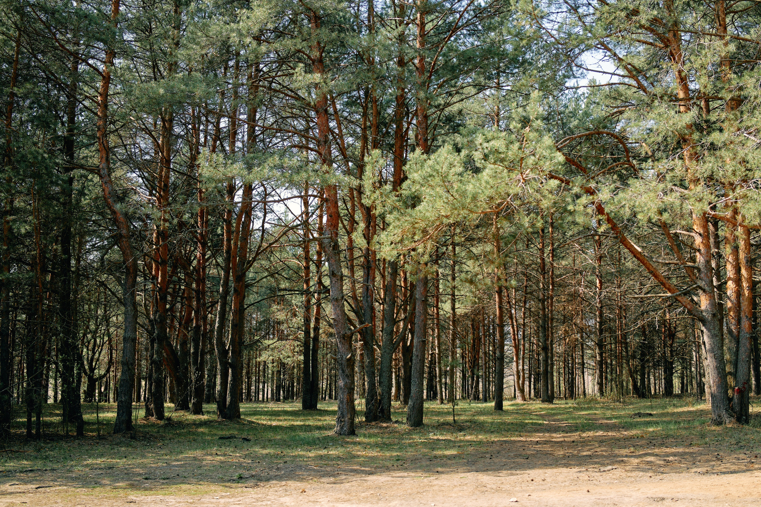 Бутик-отель Поле летом. Профессиональный Фотограф во Владимире, в Москве и в Суздале — Полина Романычева