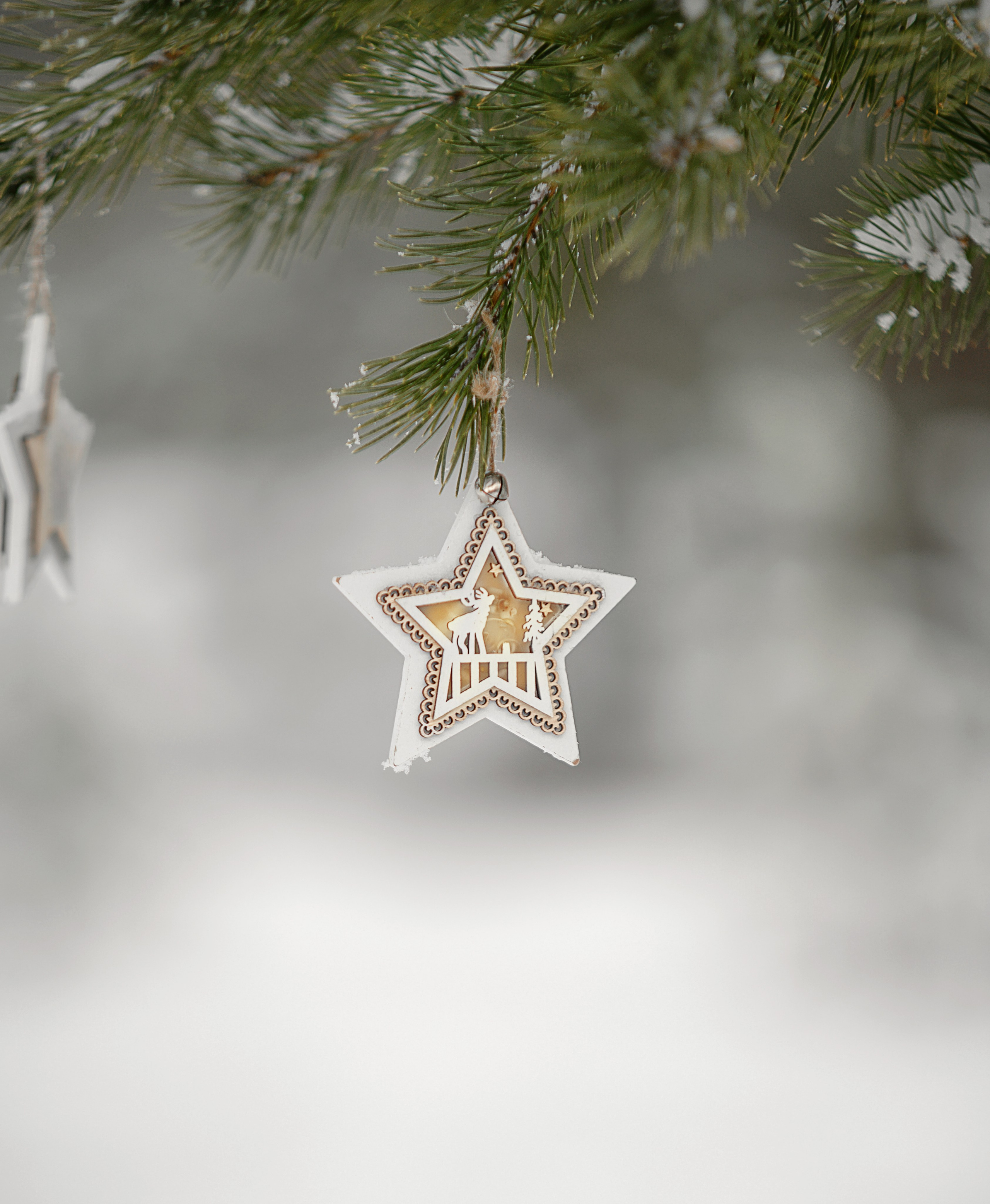 Истории. Семейный и детский фотограф в Шатках и Арзамасе Александра Магомедова