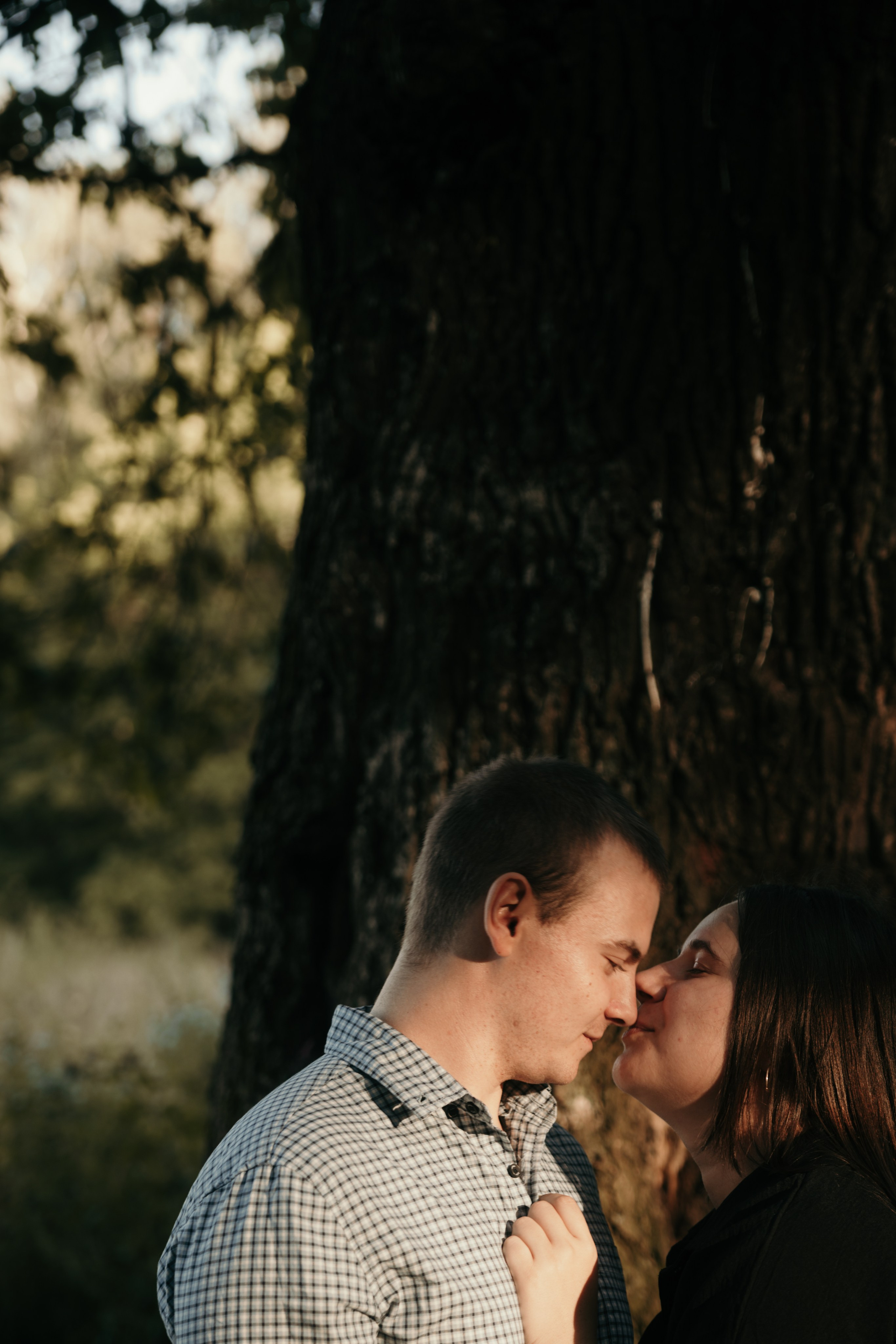 Солнечный вечер в лесу. Фотограф и видеограф Мария Банщикова, Солнечногорск, Москва