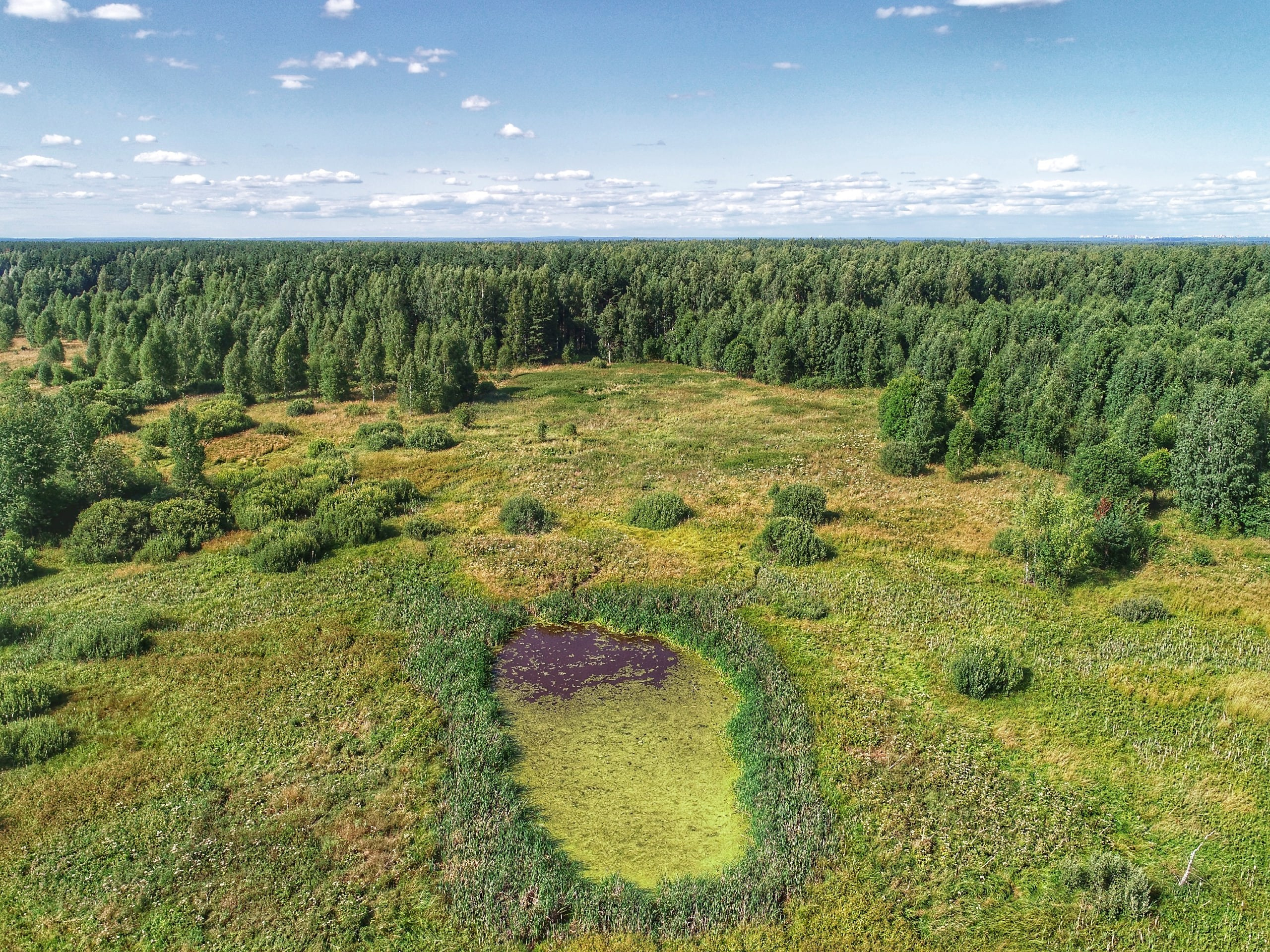 Аэросъёмка (фото). Фото и видеосъёмка в Ярославле | Грибов Медиа контент студия  — от 2500 ₽/час