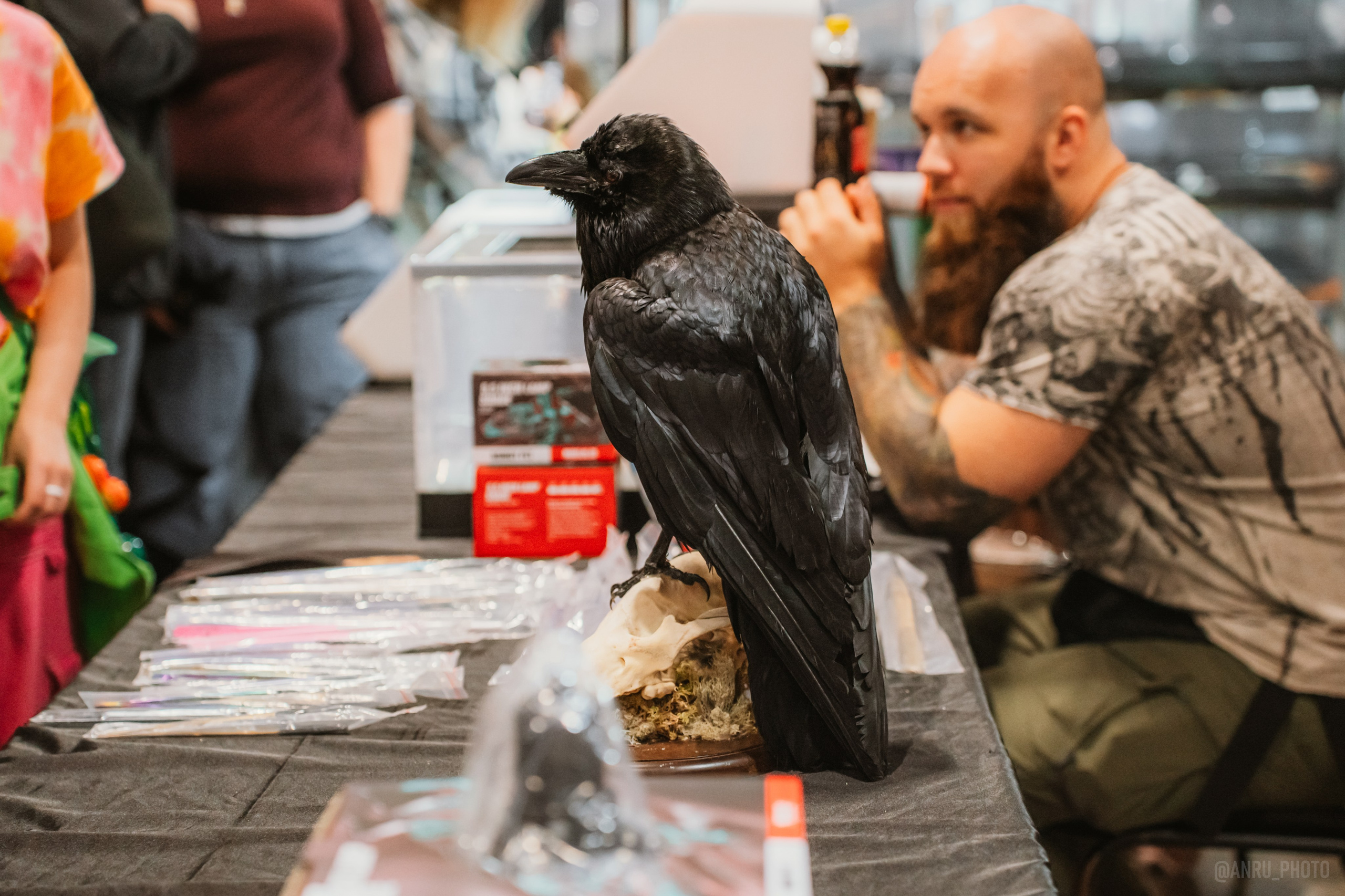 Рептилиум (ручная работа). Репортажный фотограф Анастасия Рубцова