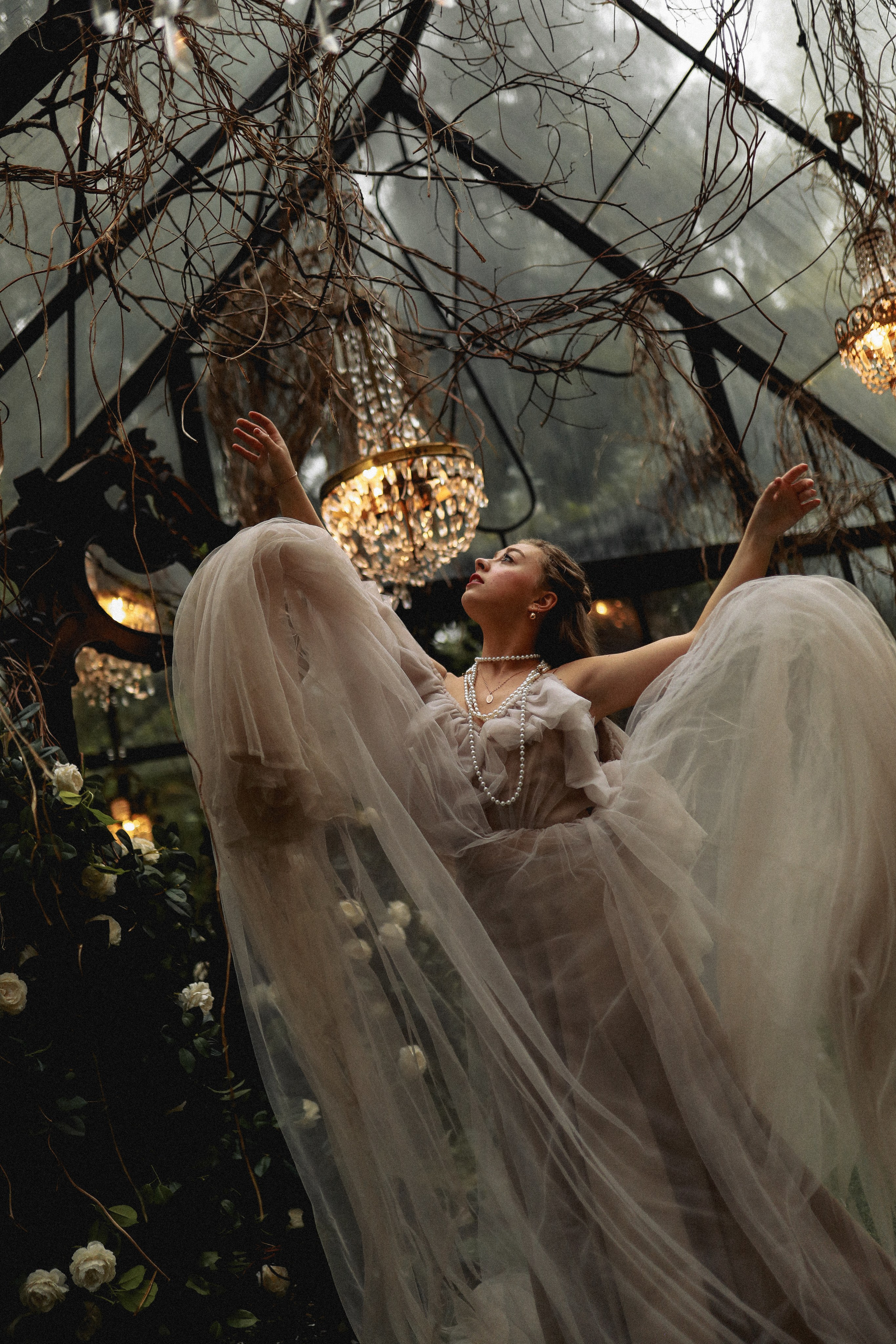 Зачарованный лес