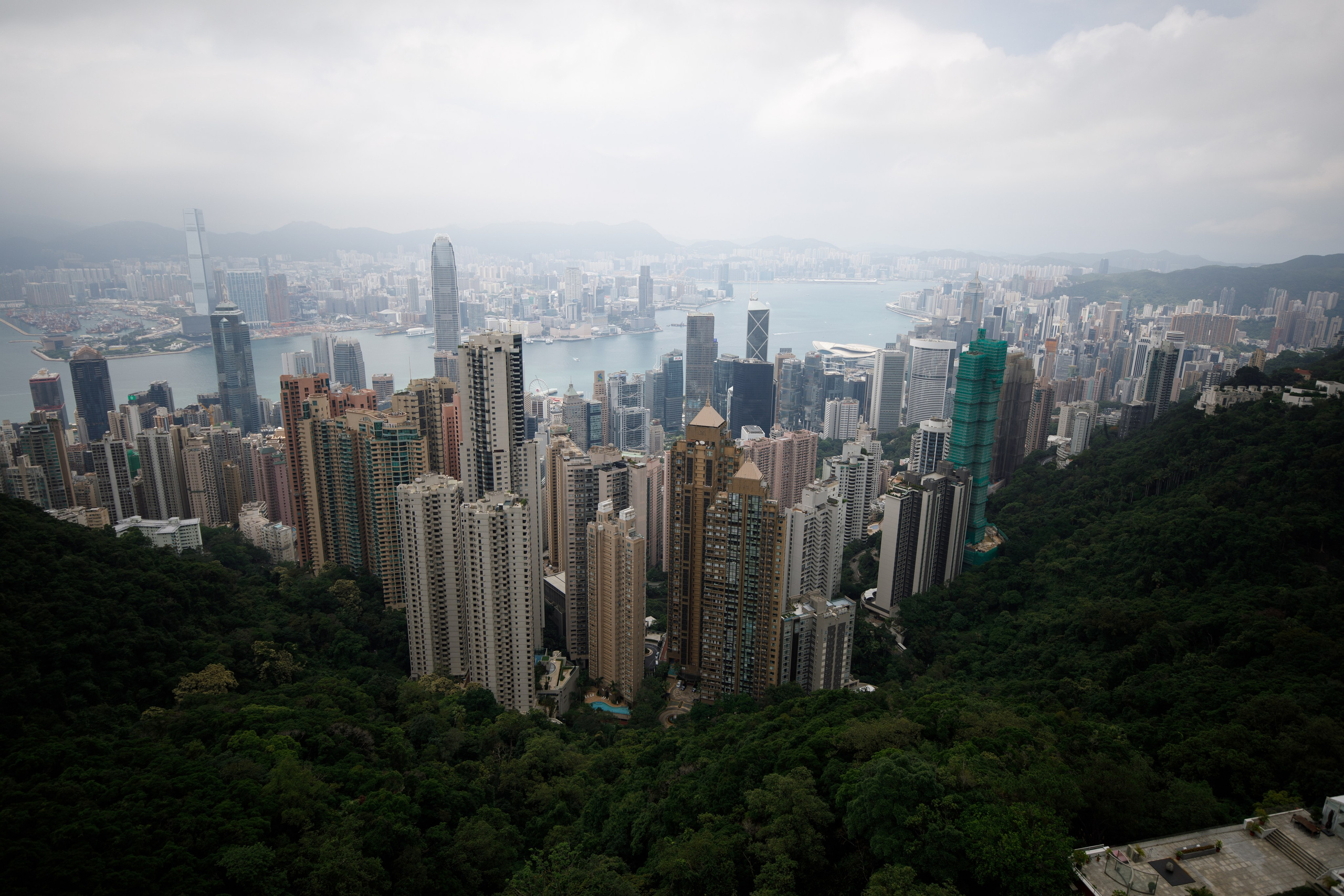 Hong Kong 2025. Репортажный и портретный фотограф Русакова Жанна