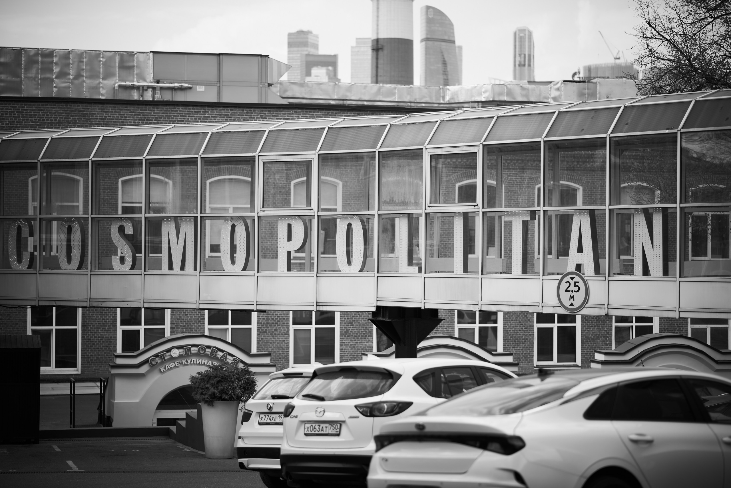 QUEEN OF THE CAPITAL. Фотограф Сергей Караваев Москва и МО