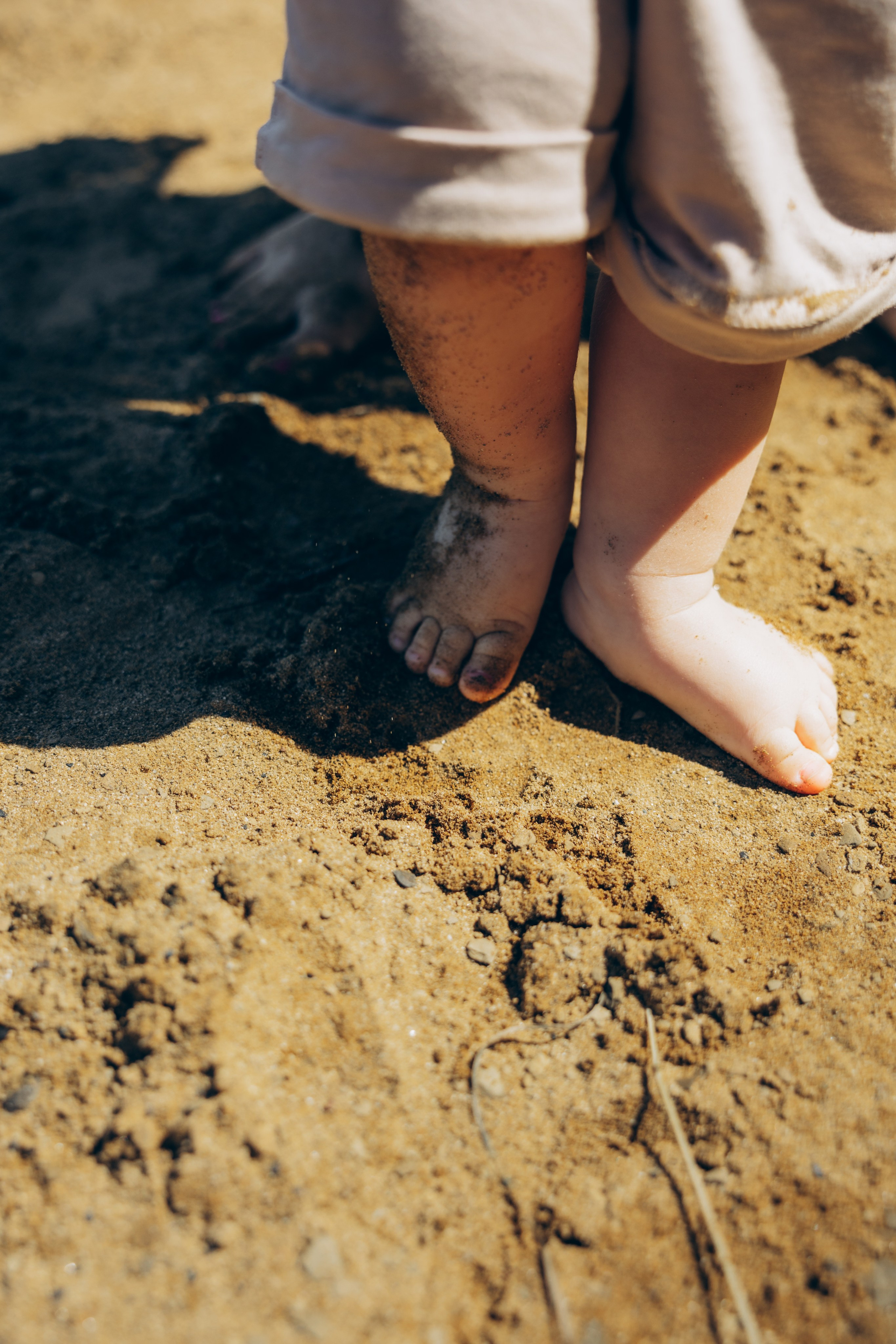 Прогулка в Новогрудинино. Свадебный, семейный фотограф в Иркутске Светлана Макаричева