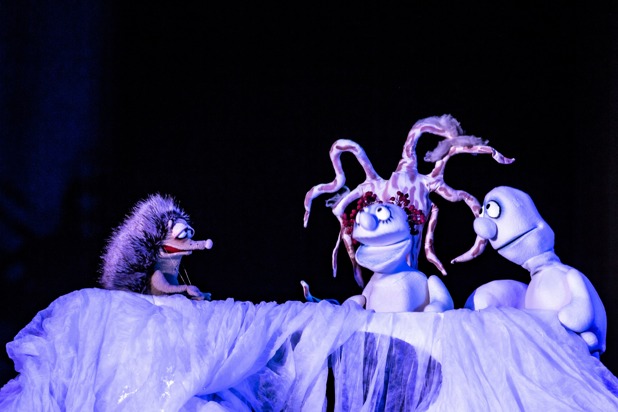 Спектакль Снежные человечки — театр Саквояж. Фотограф в Сочи Юрий Шептаев