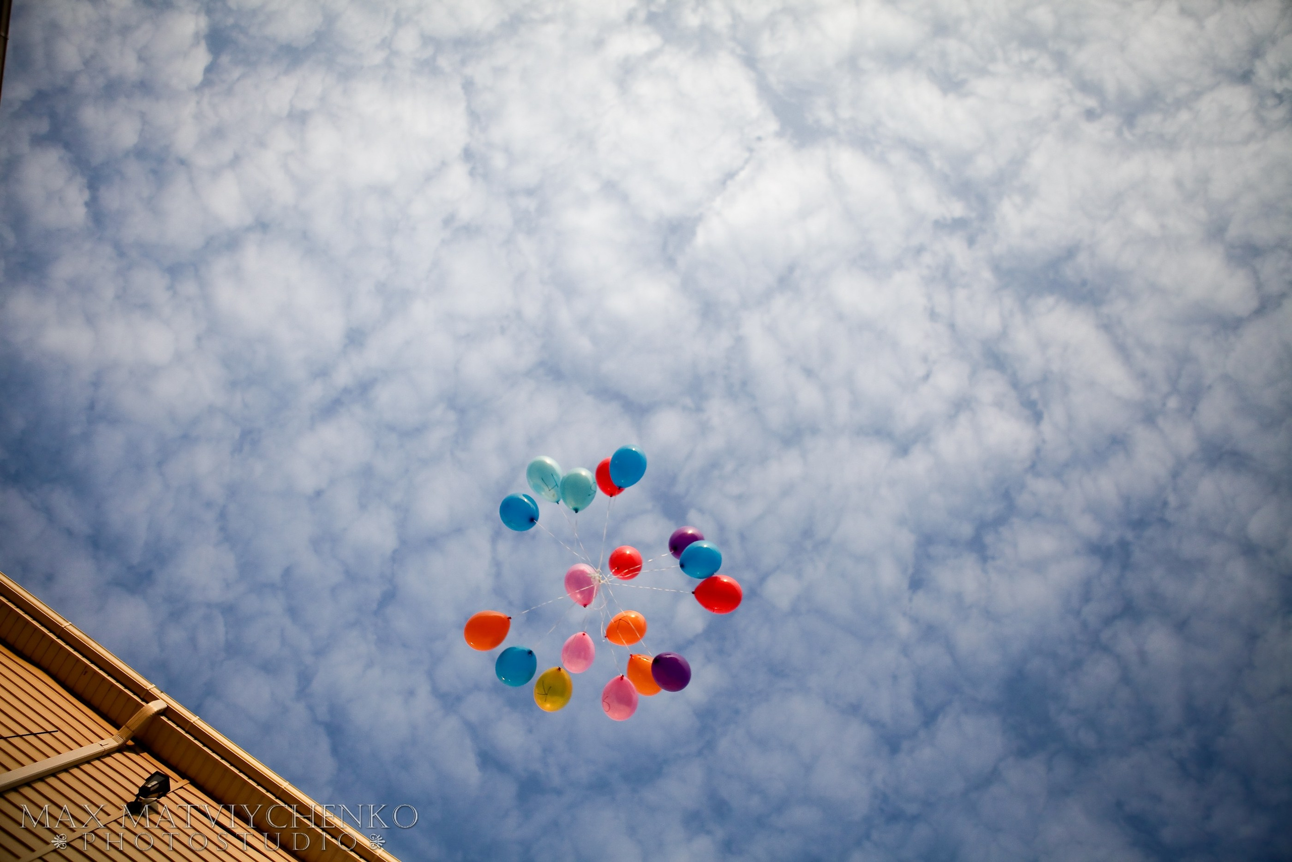 Банкет/Banquet. Максим Матвийченко и Виктория Басова профессионалы своего дела