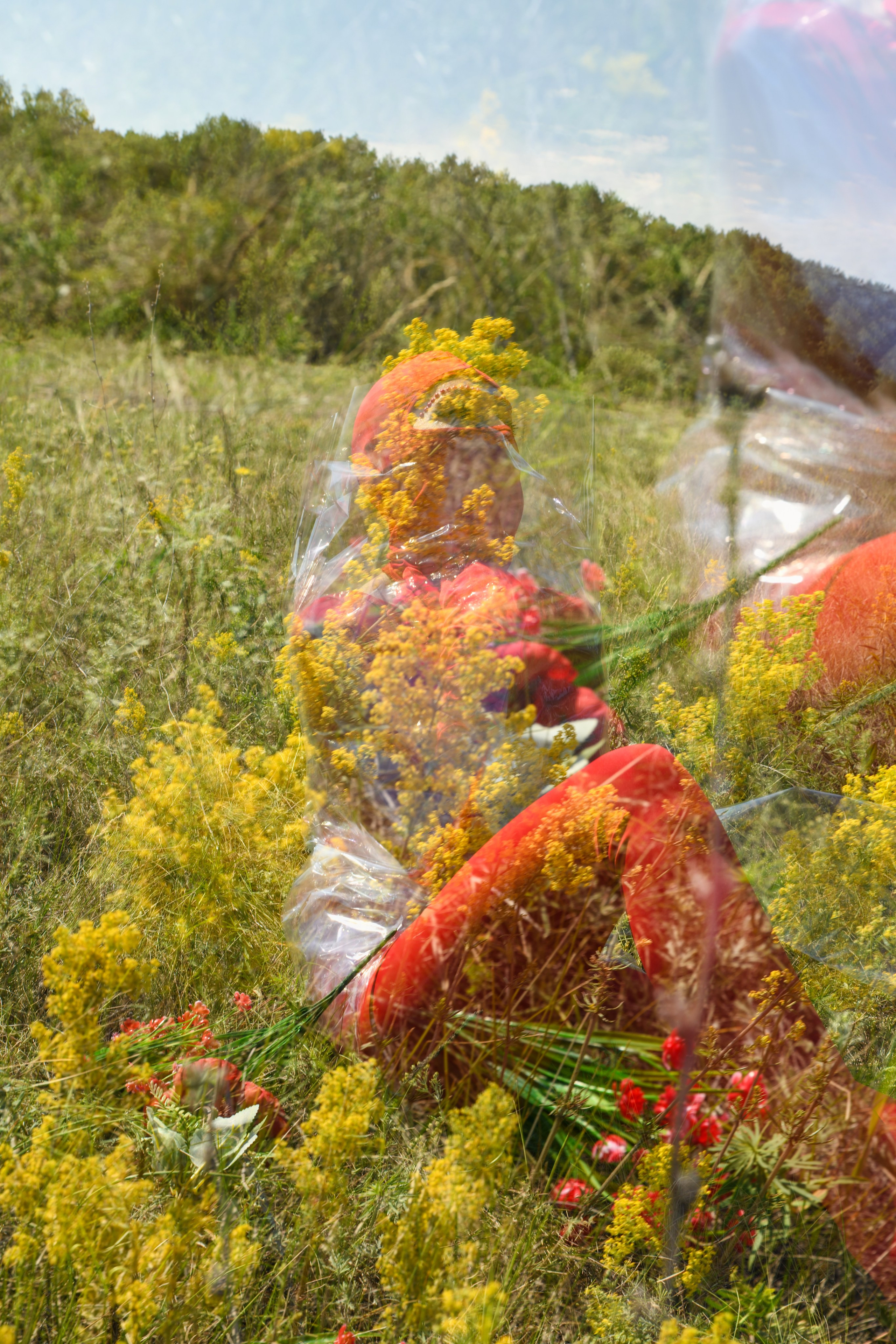 TERRA NOSTRA. Yulia Yurchevskaya | Art Director & Visual Visionary