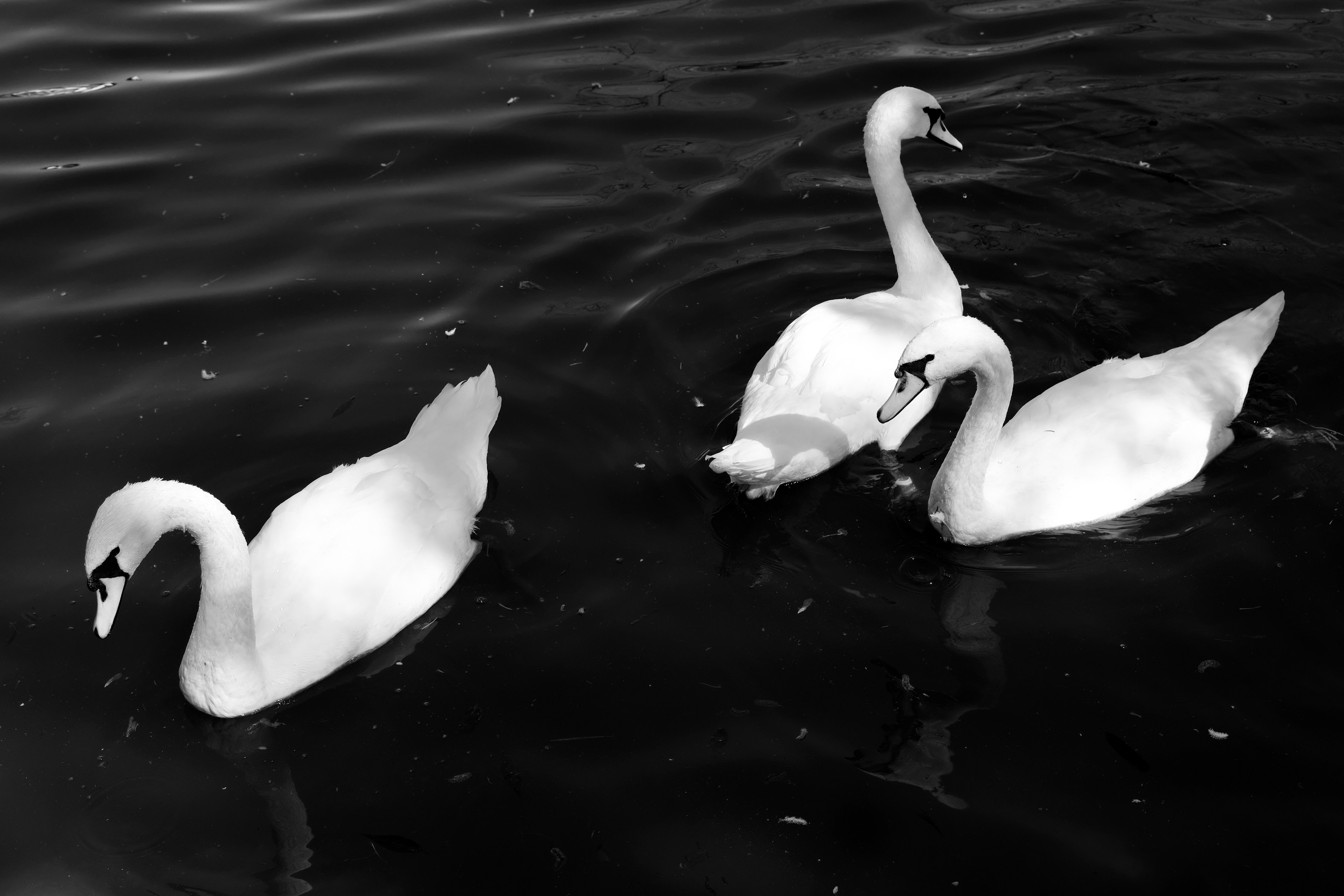 /все что вокруг. Kristina Rashkovskaya