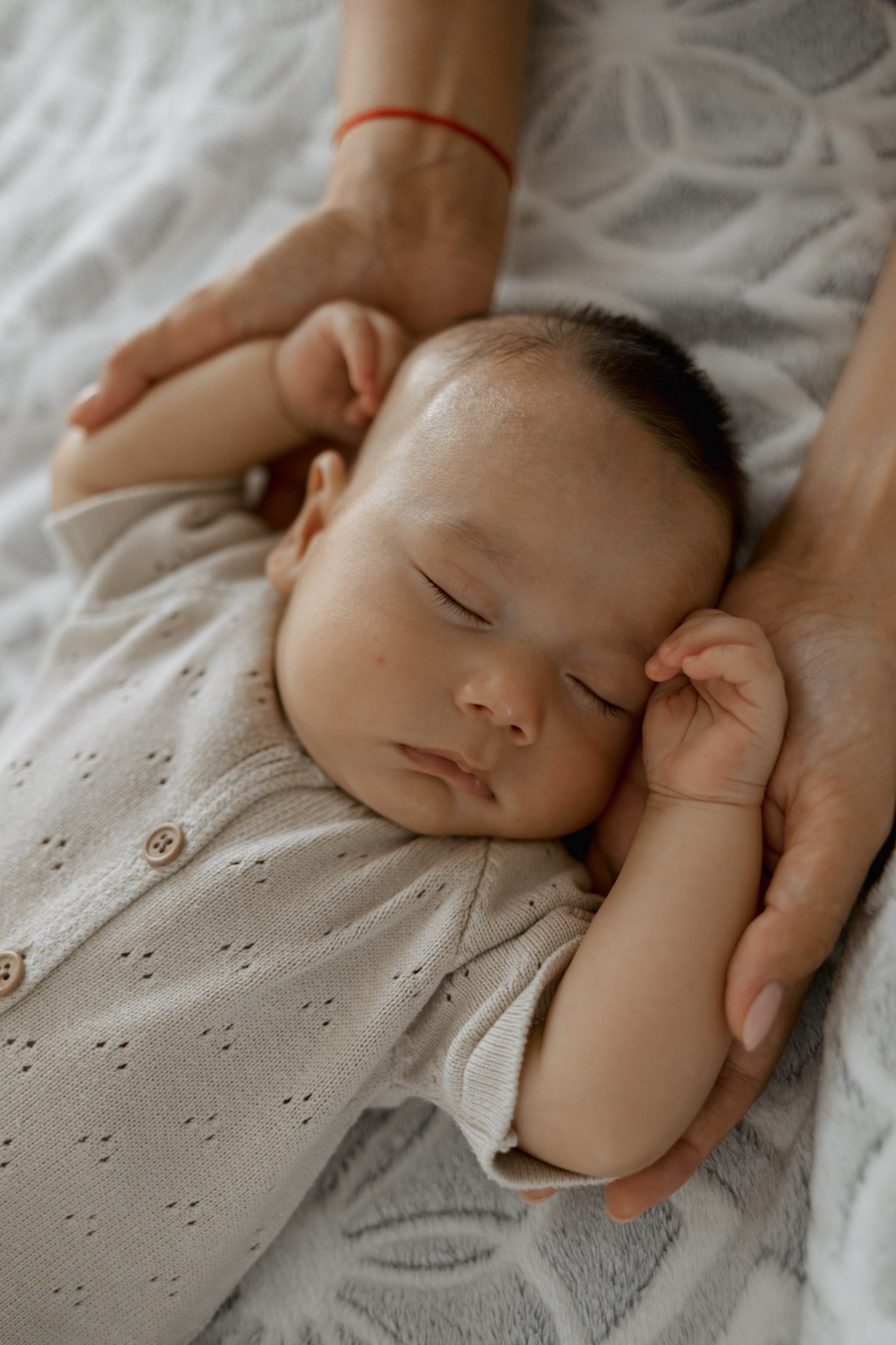 Домашние. Фотограф Москва