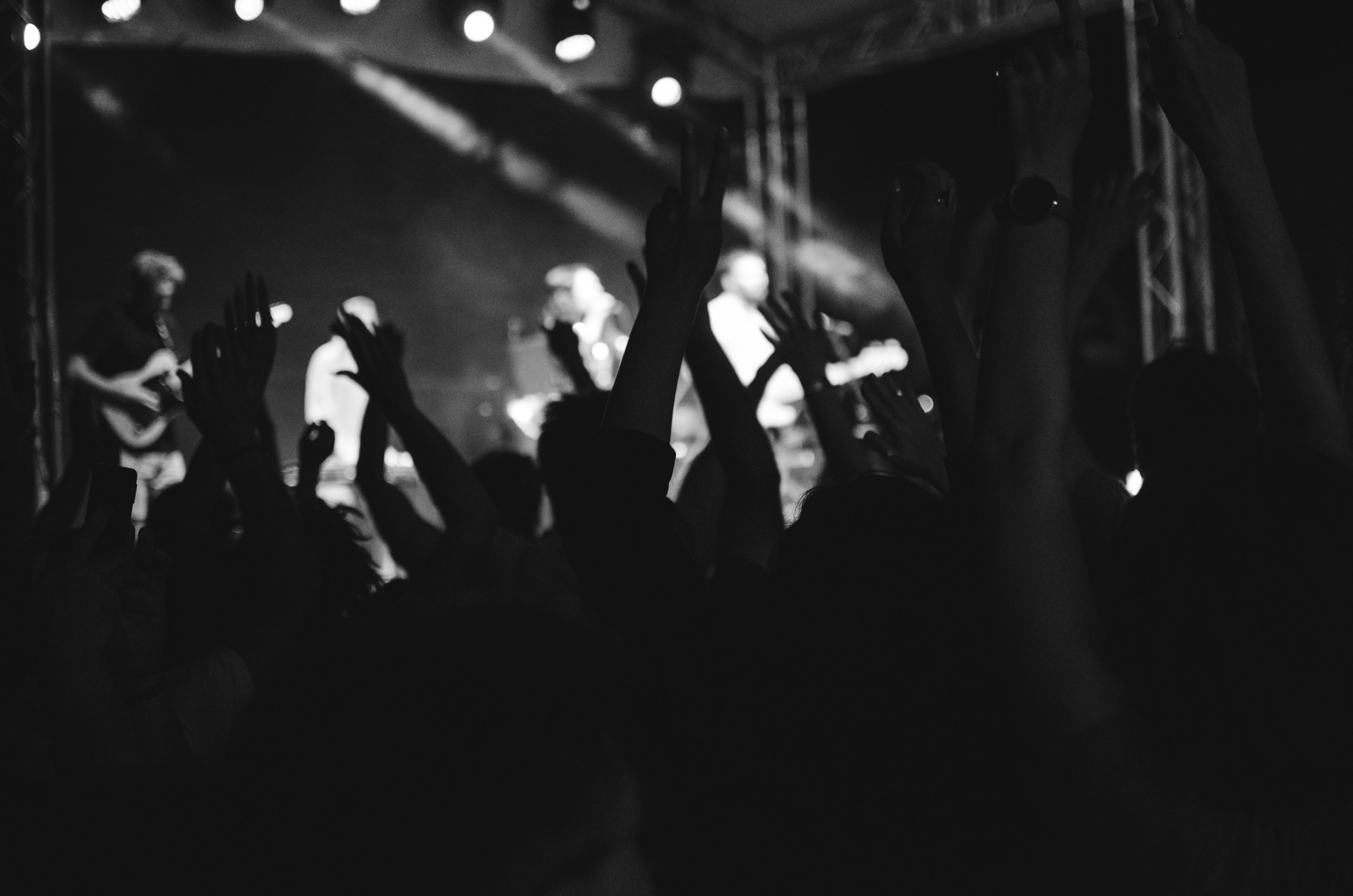 AloeVera 08.08.24. Event photographer Alena Iurchenko