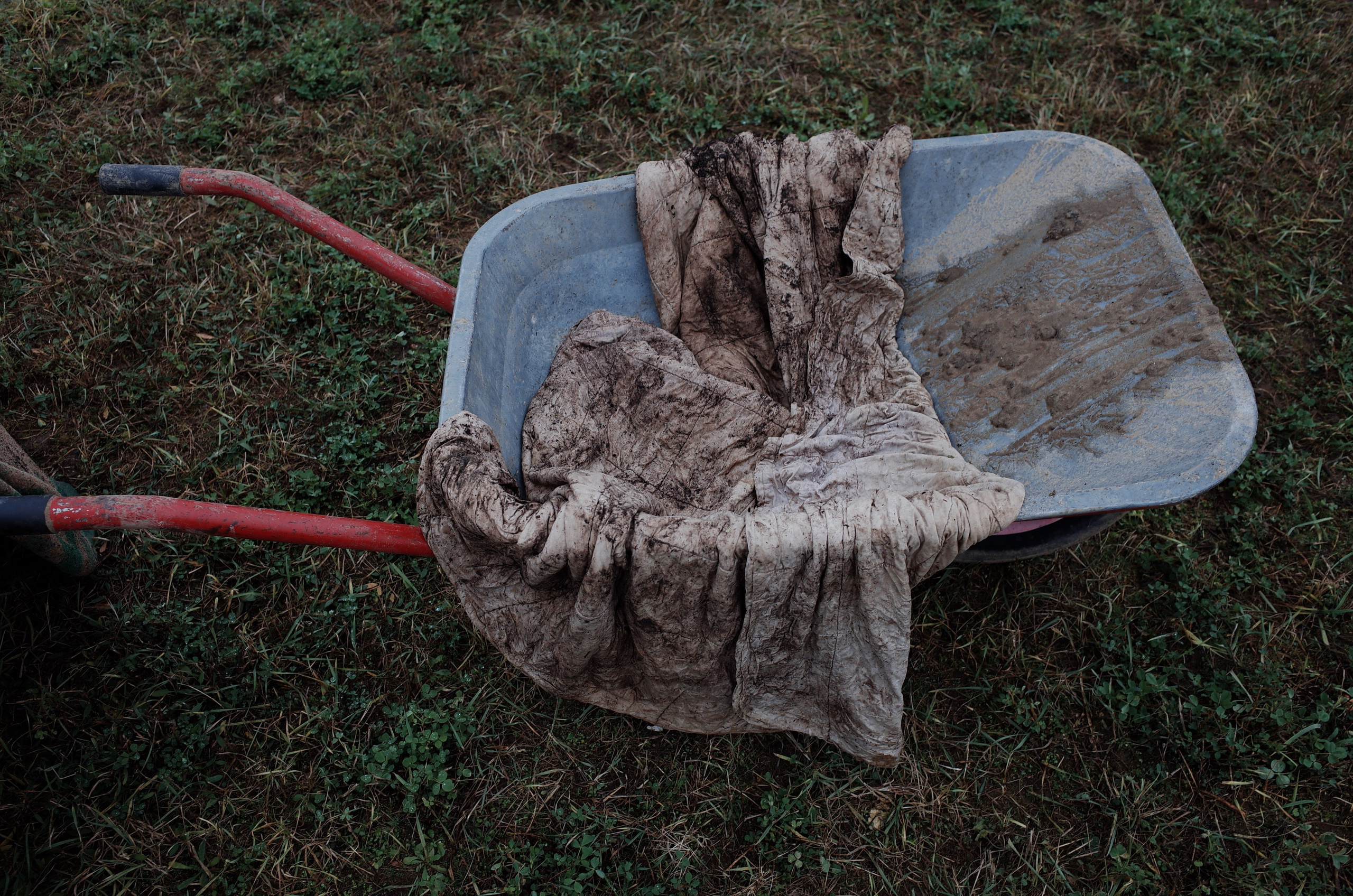 Farmers. Aleksander Chernov — Documentary filmmaker and photographer