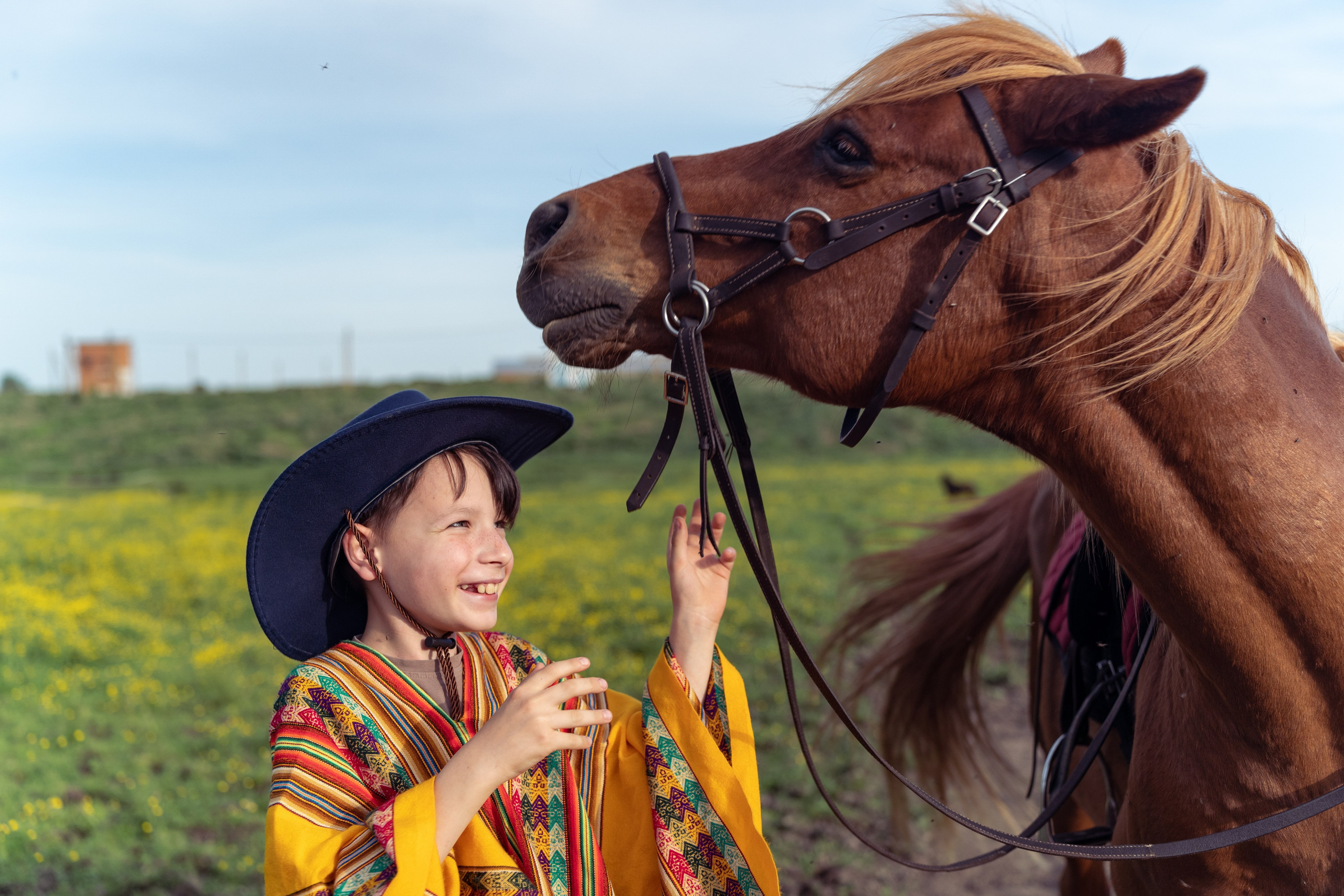 Выйти в лето в поле с конем. Видеограф и фотограф в Москве Анастасия Рябчикова