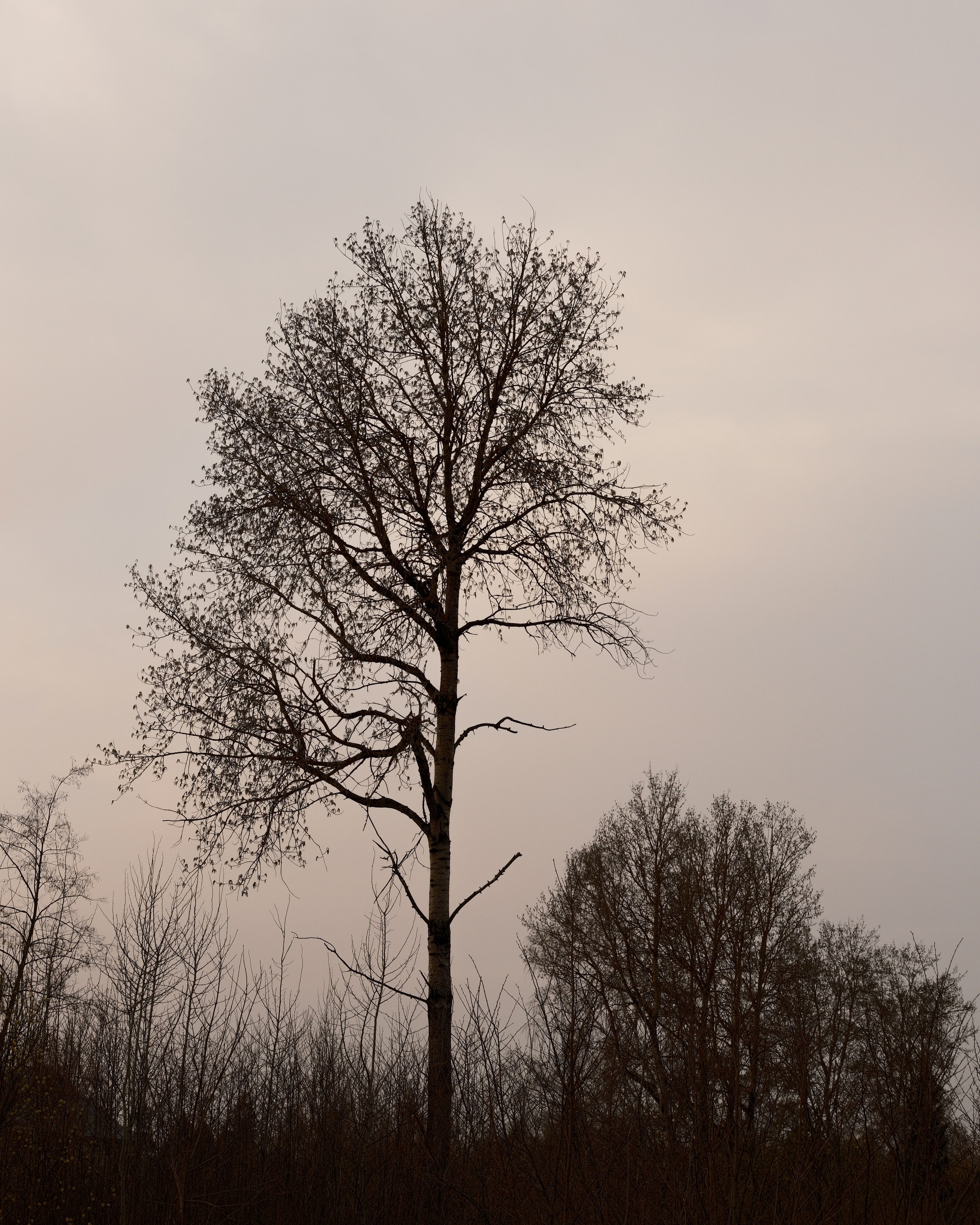 Природа. Фотограф Маргана Лоция