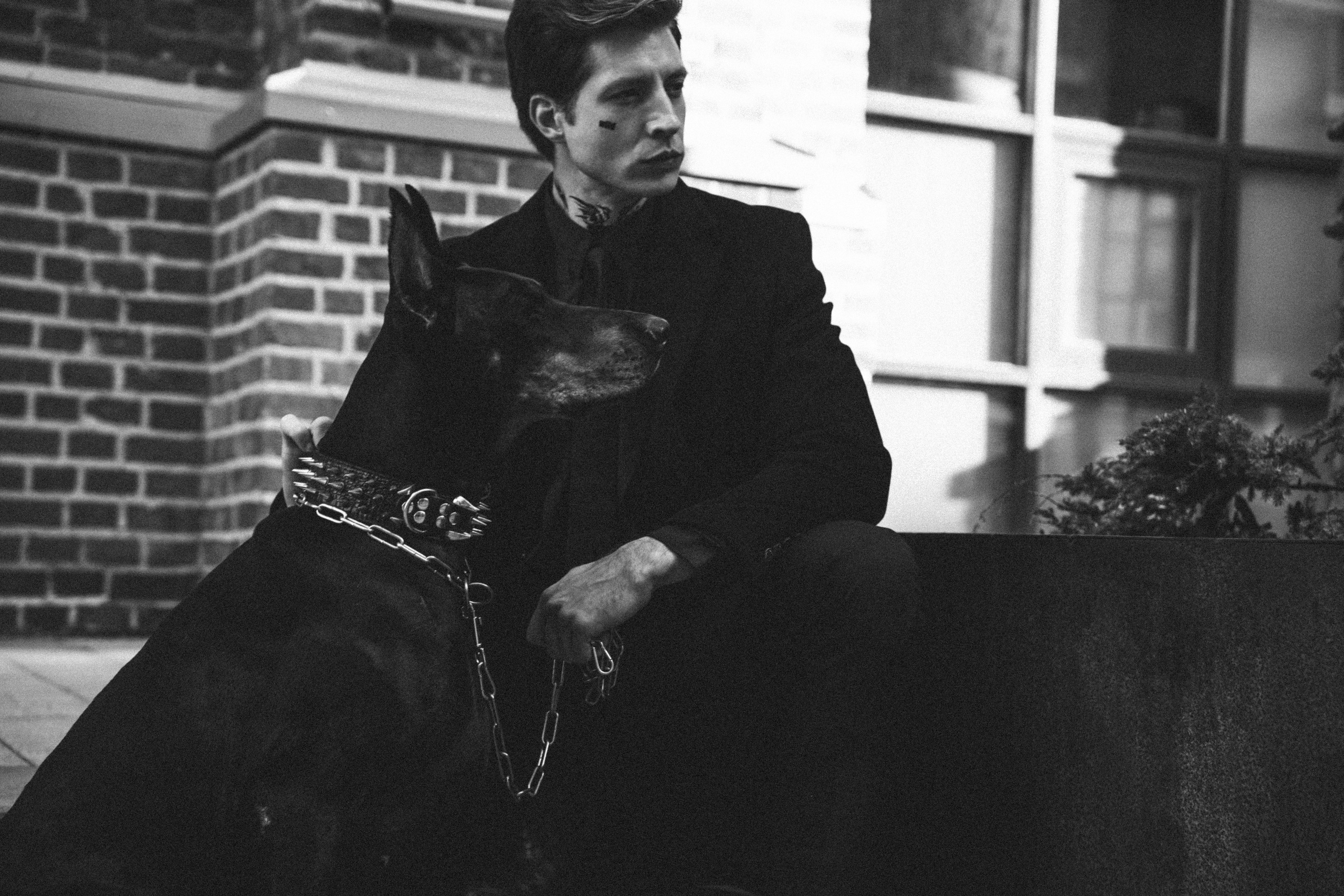 Фотосессия с собакой