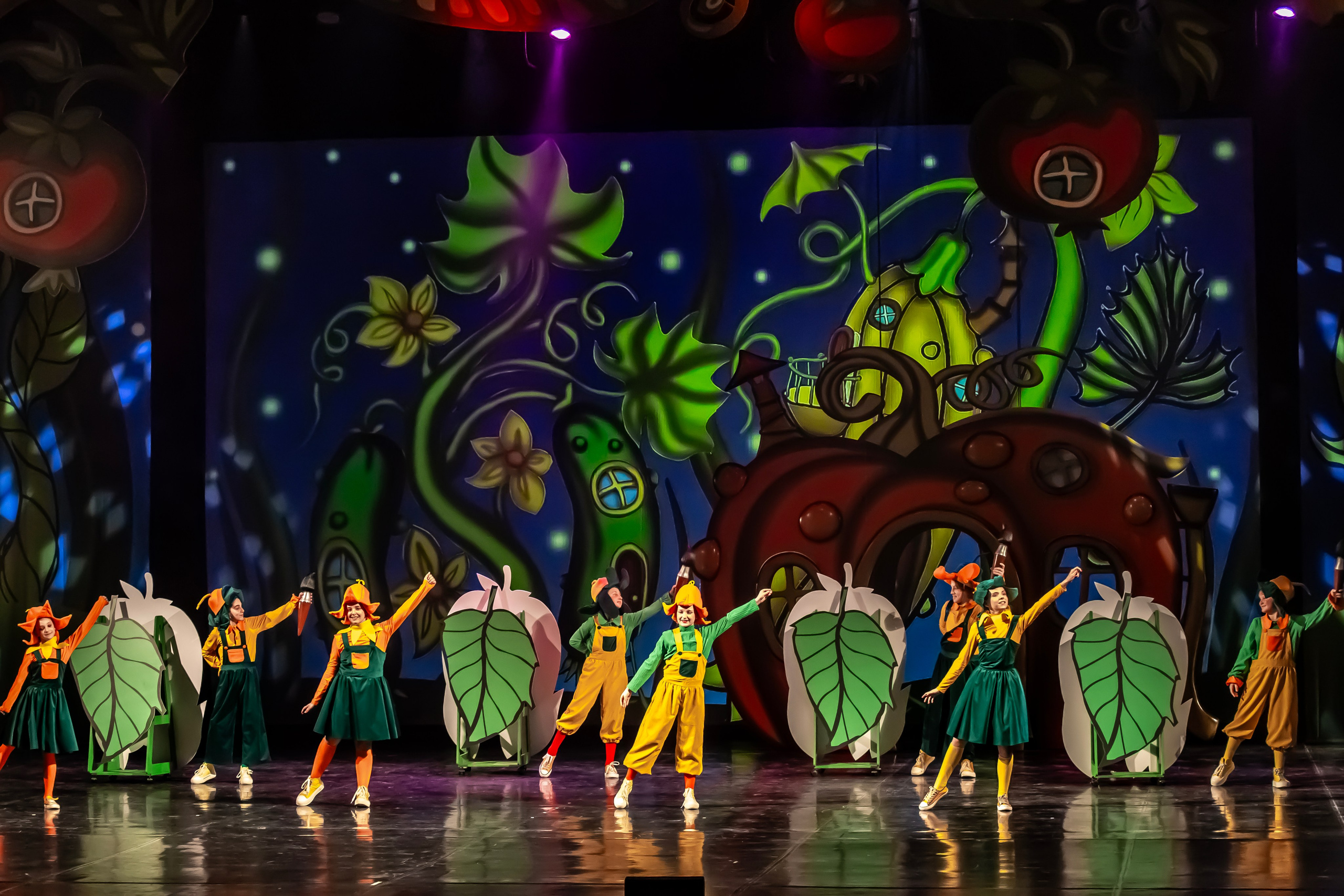 Мюзикл «Незнайка в царстве малюток» премьера Сочи солнышки и Сочи Соло. Фотограф в Сочи Юрий Шептаев