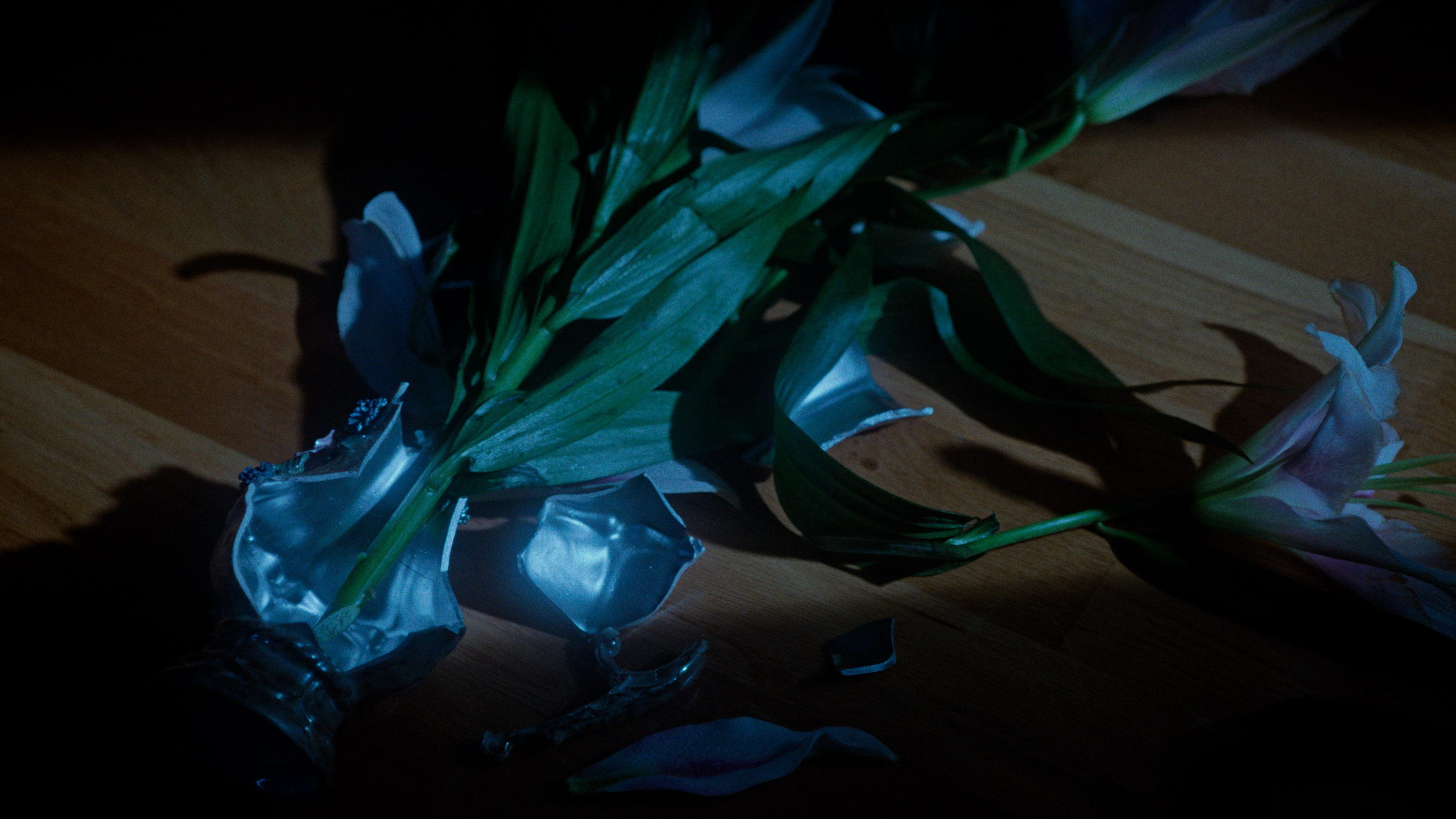 HORIZONTAL. Креативный продюсер и арт-директор в Санкт-Петербурге Марина Кадын