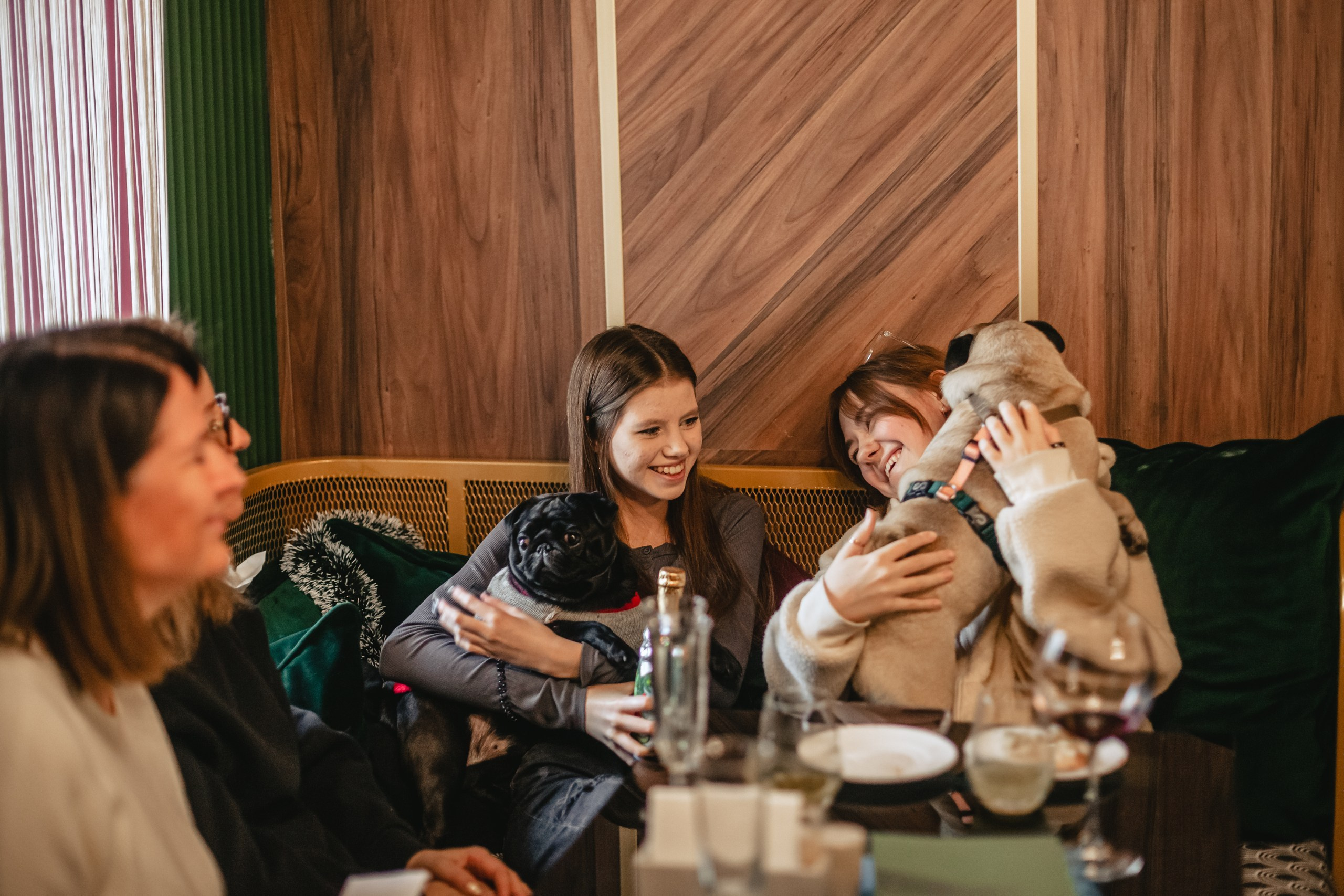 Мопсовстреча 02.12.2023. Фотограф-анималист Татьяна Степанова